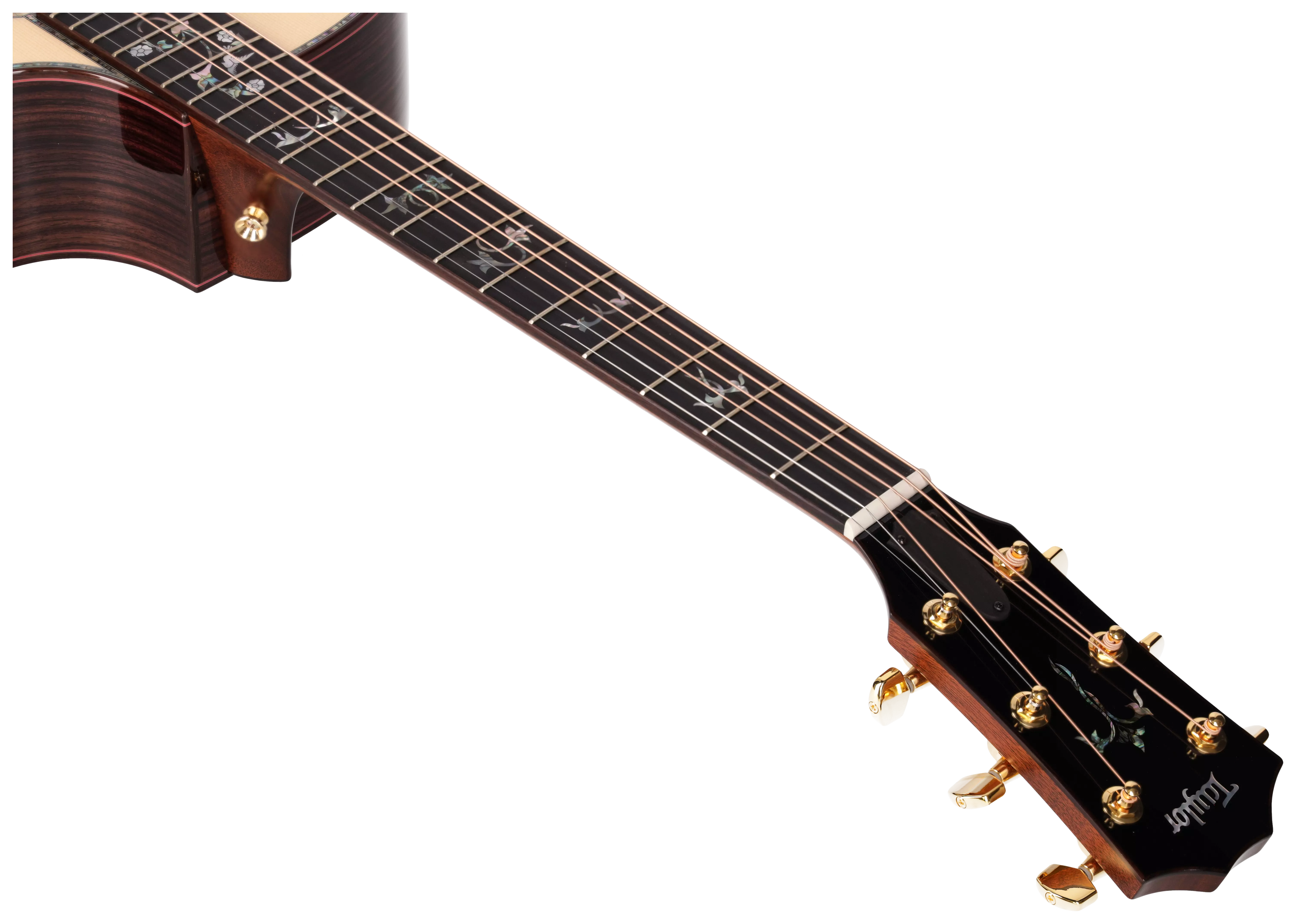 Taylor Legacy 914ce #1 13