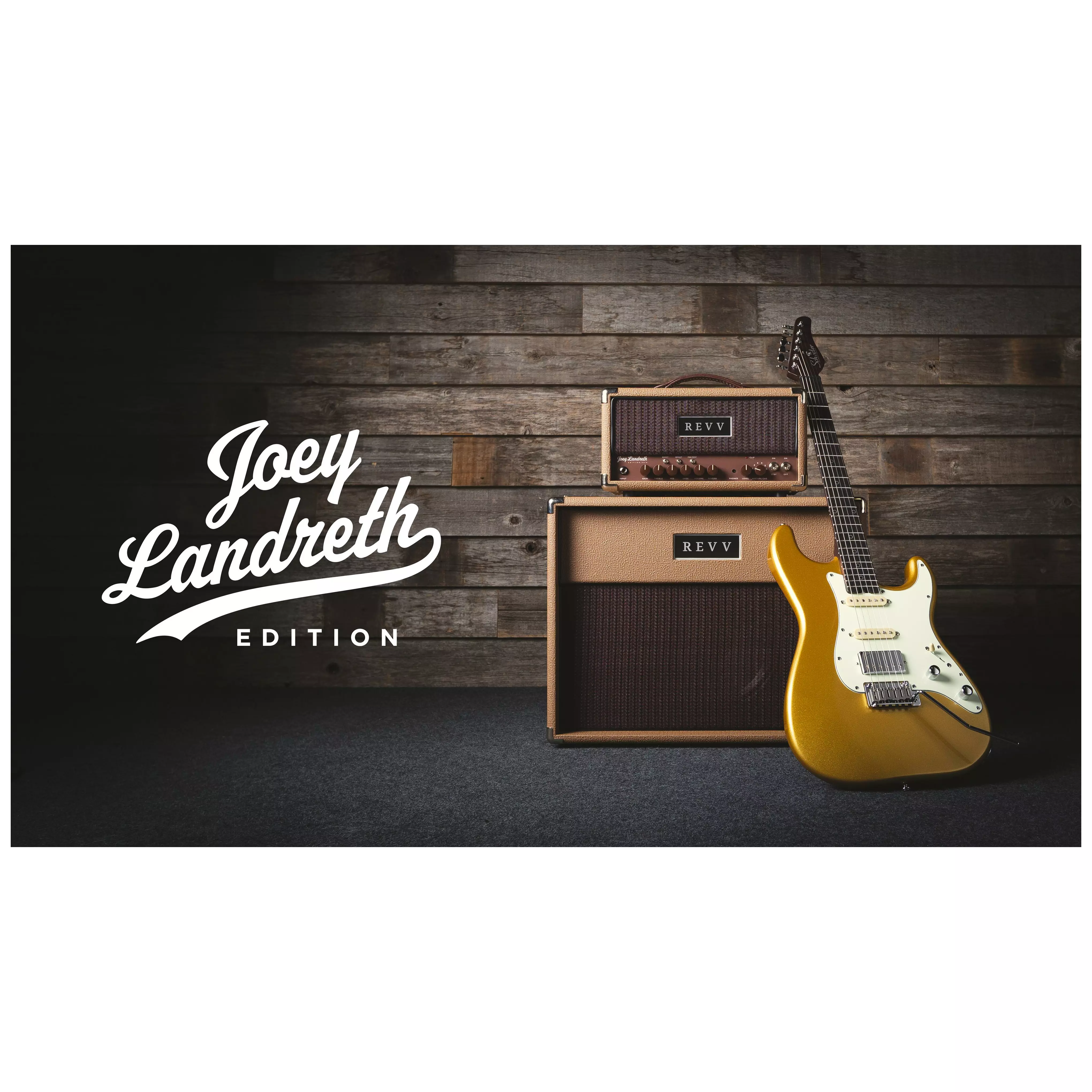 Revv Amplification D20 Joey Landreth Edition Brown Face Head 1