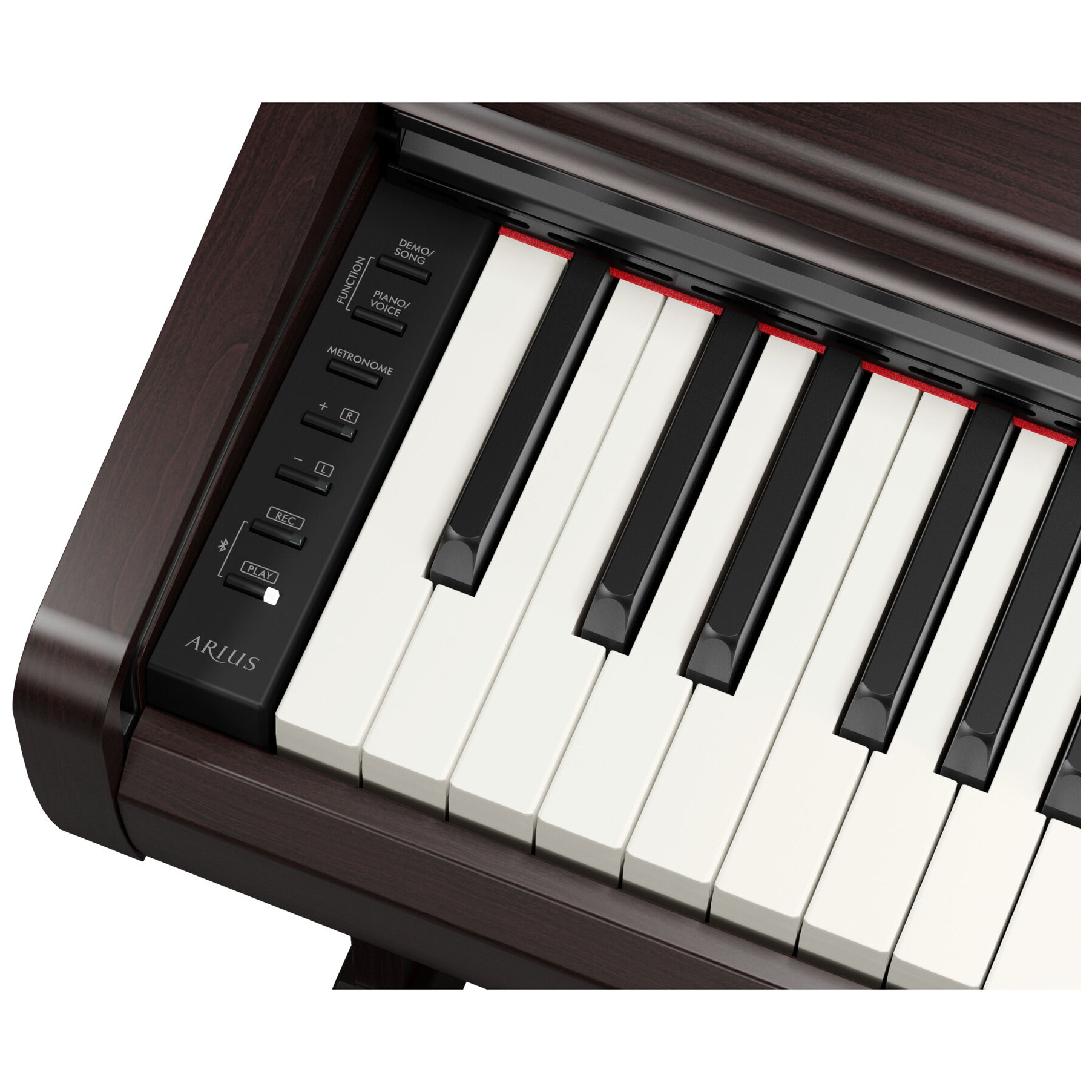 Yamaha Arius YDP-146 R 3