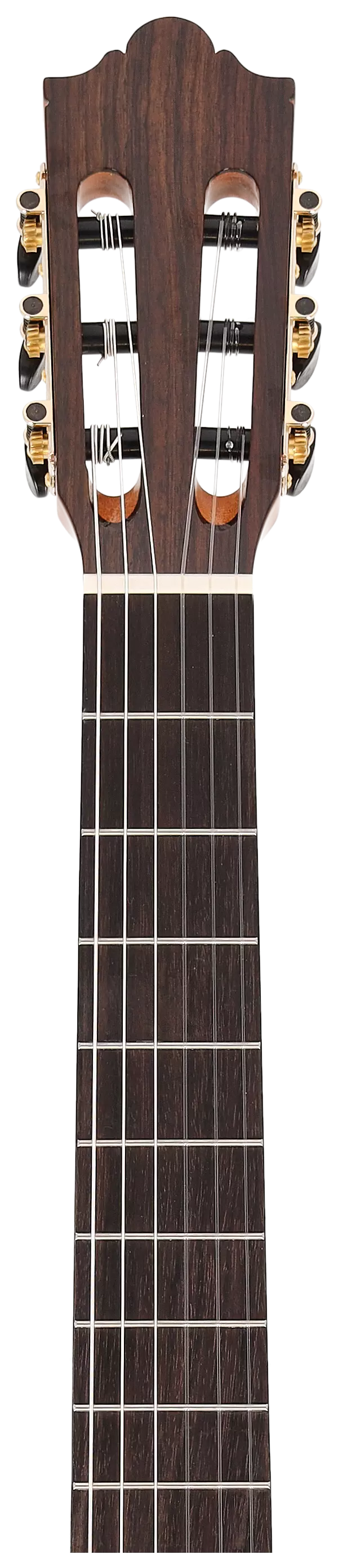 Redwood Cantora Pro 4/4 CR HG 11