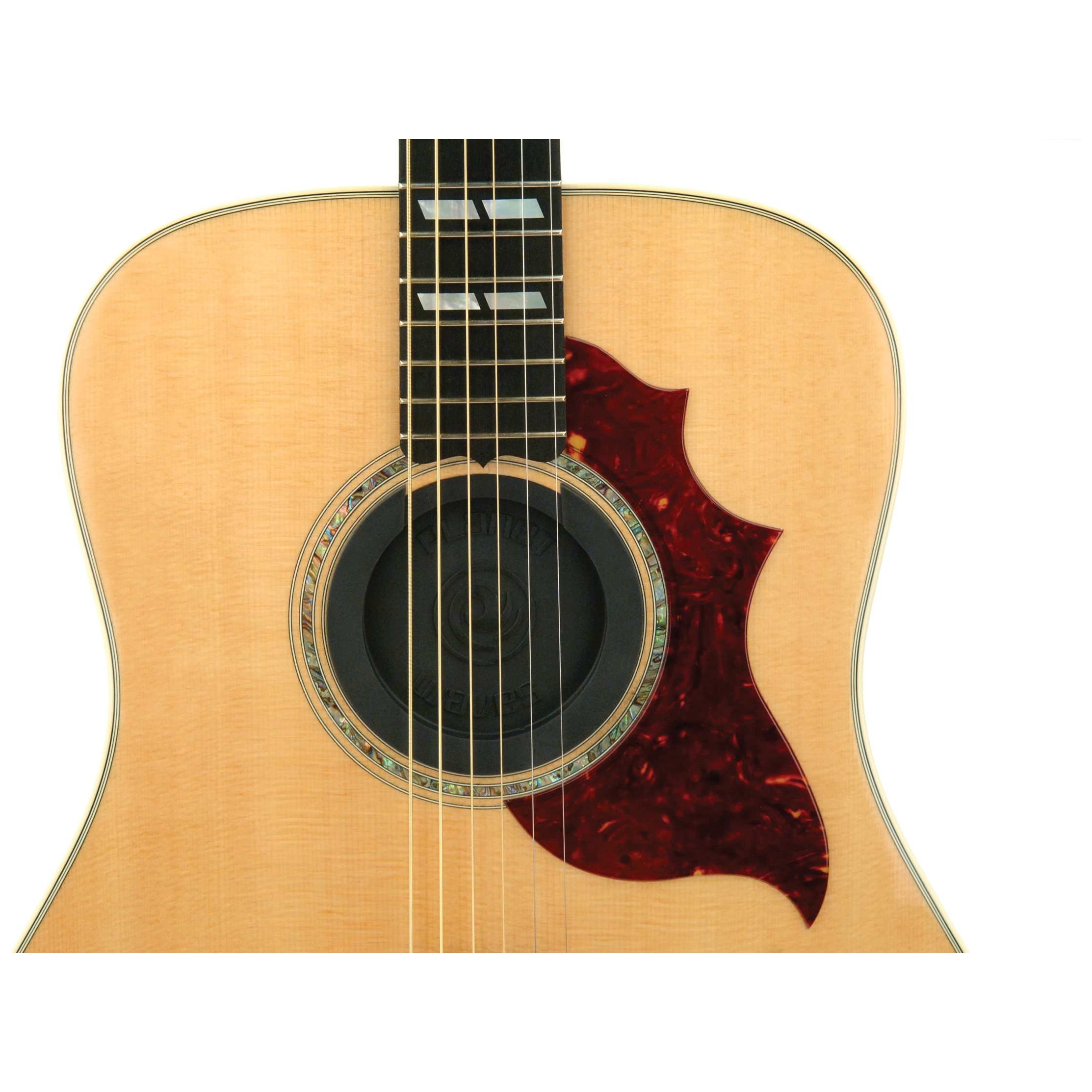 D’Addario - D’Addario PW-SH-01 - Soundhole Cover - 3