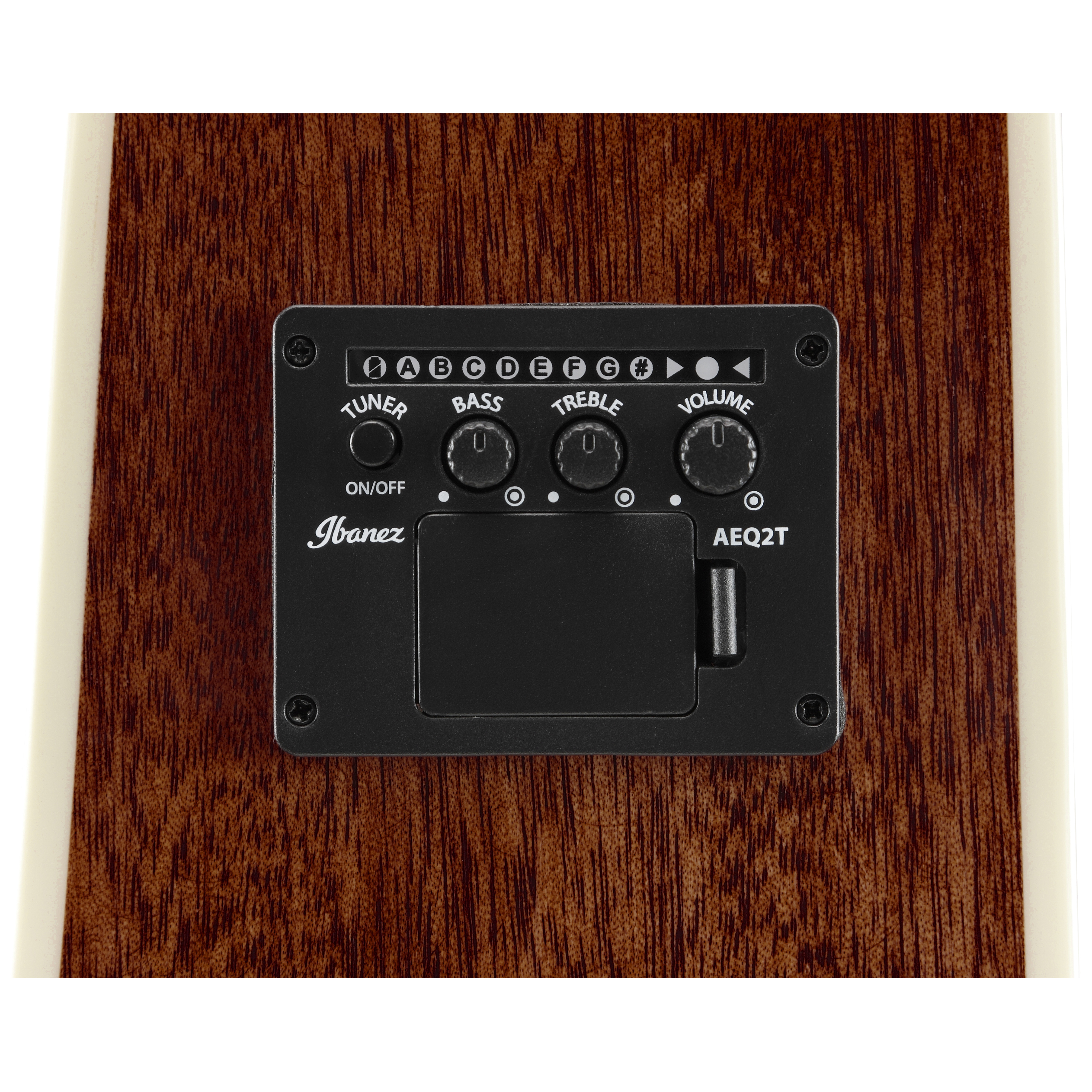 Ibanez PF16WCE-NT 10