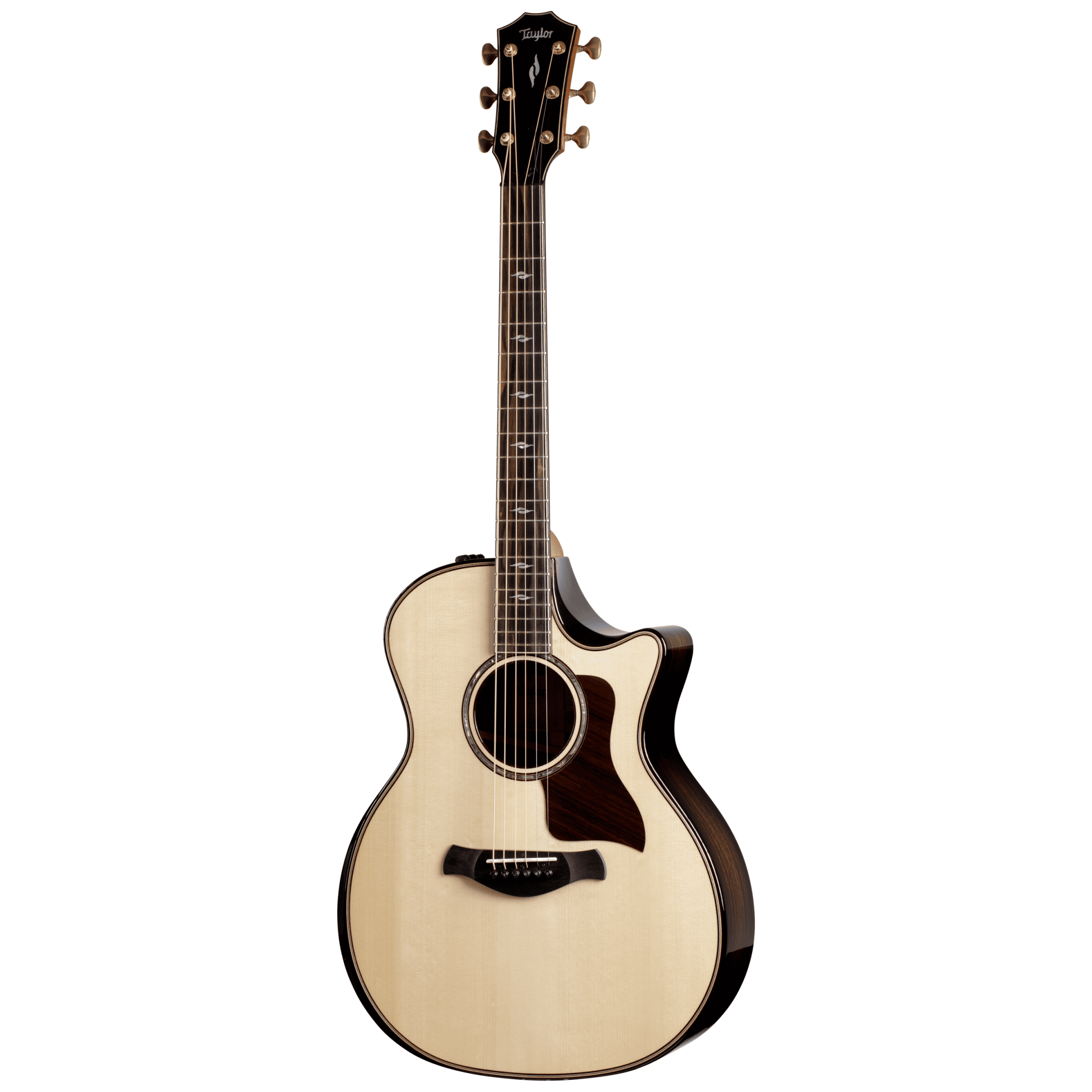 Taylor Builder's Edition 814ce