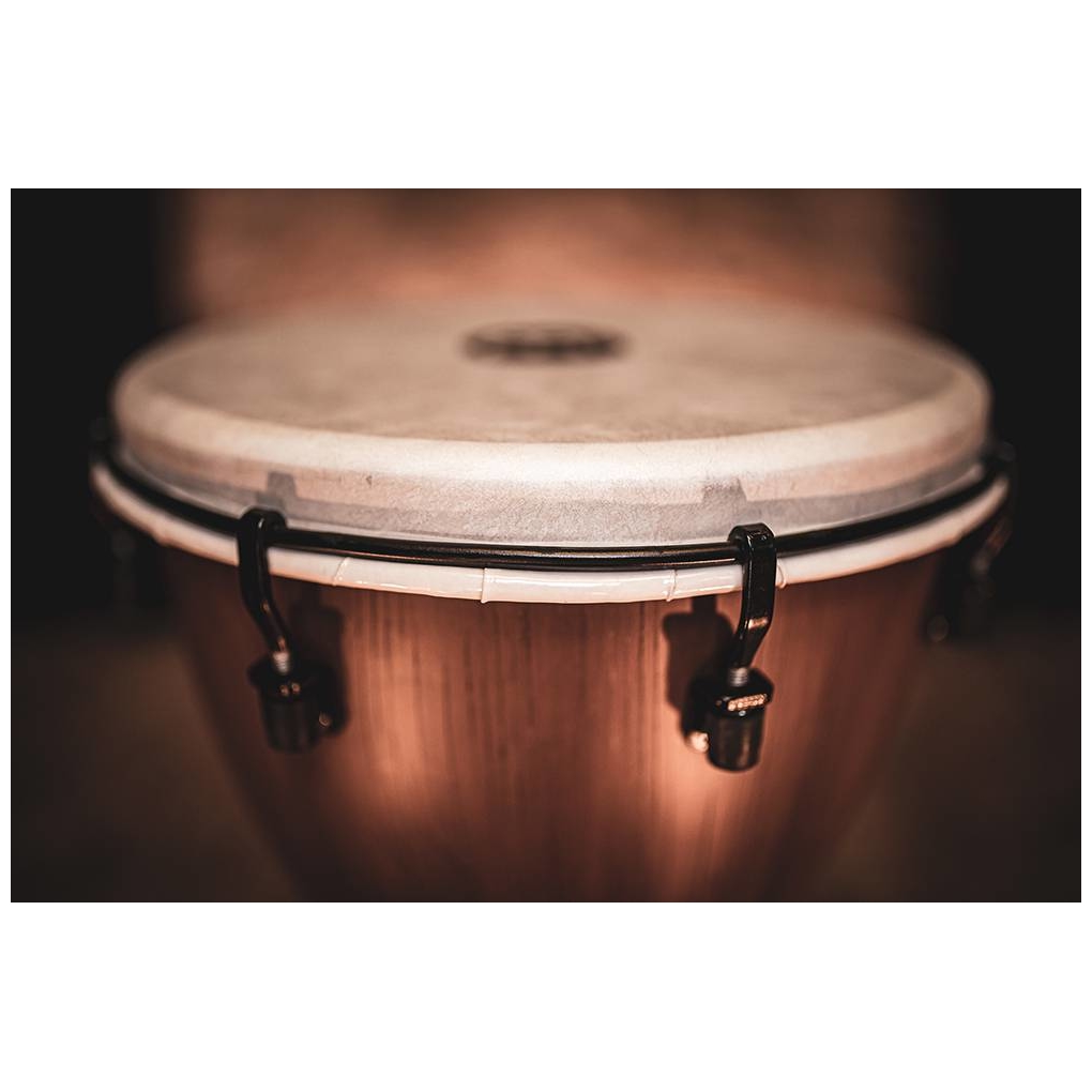 Meinl Percussion - Meinl Percussion ADJ12-BW - Alpine Series Djembe, 12 , Synthetic Head, Barnwood - 8