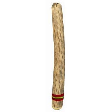  Small Kaktus Rainmaker Thick 50 cm