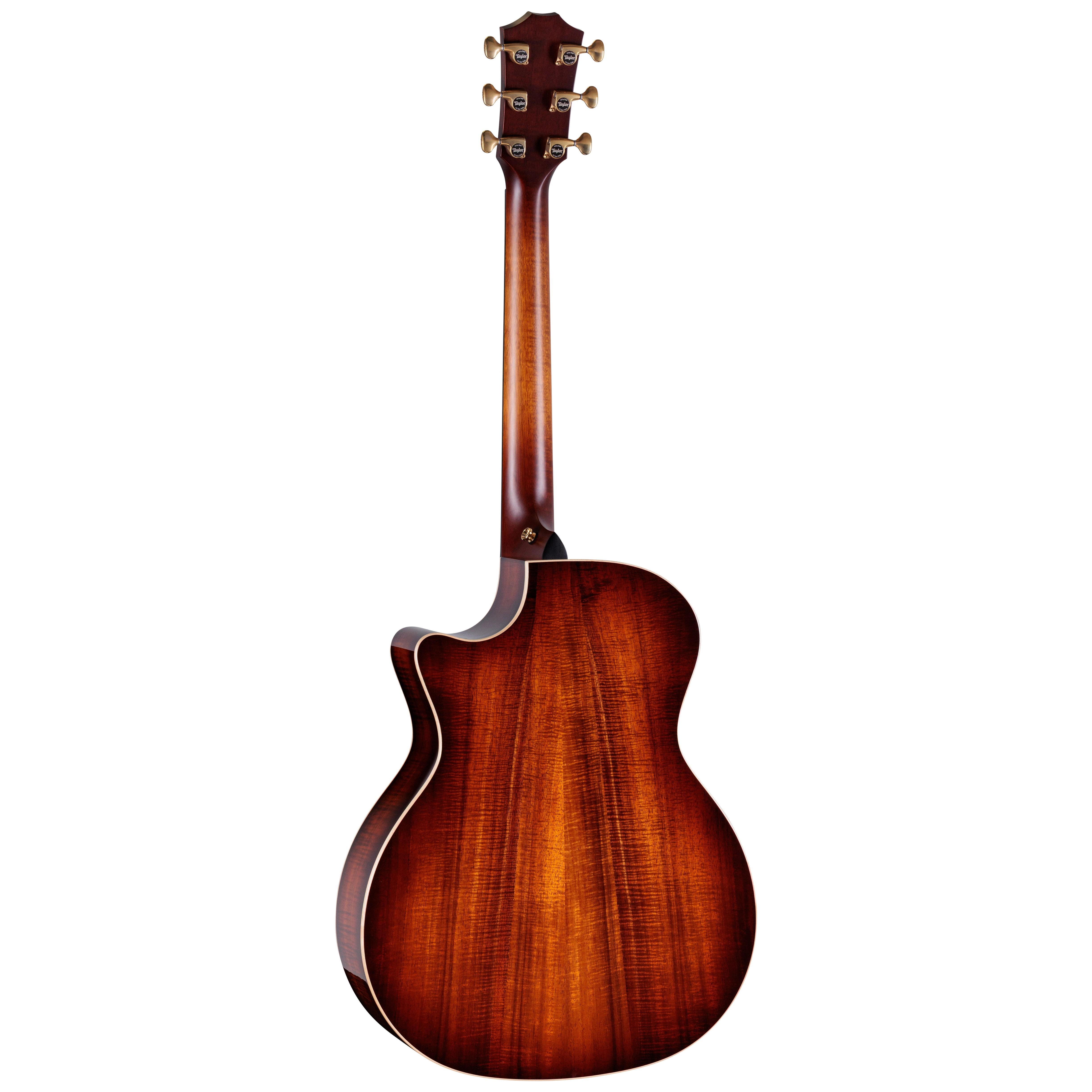 Taylor K24ce Next Generation 1
