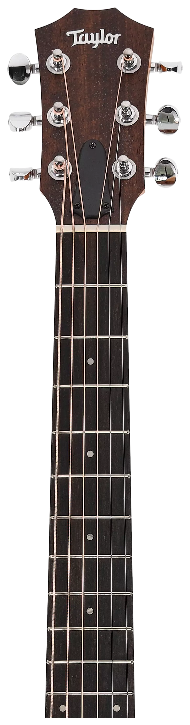 Taylor GS Mini-e Special Edition Paisley Burst 5