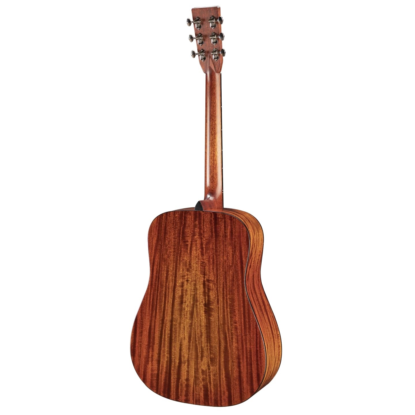 Eastman - Eastman E6D-TC - 1