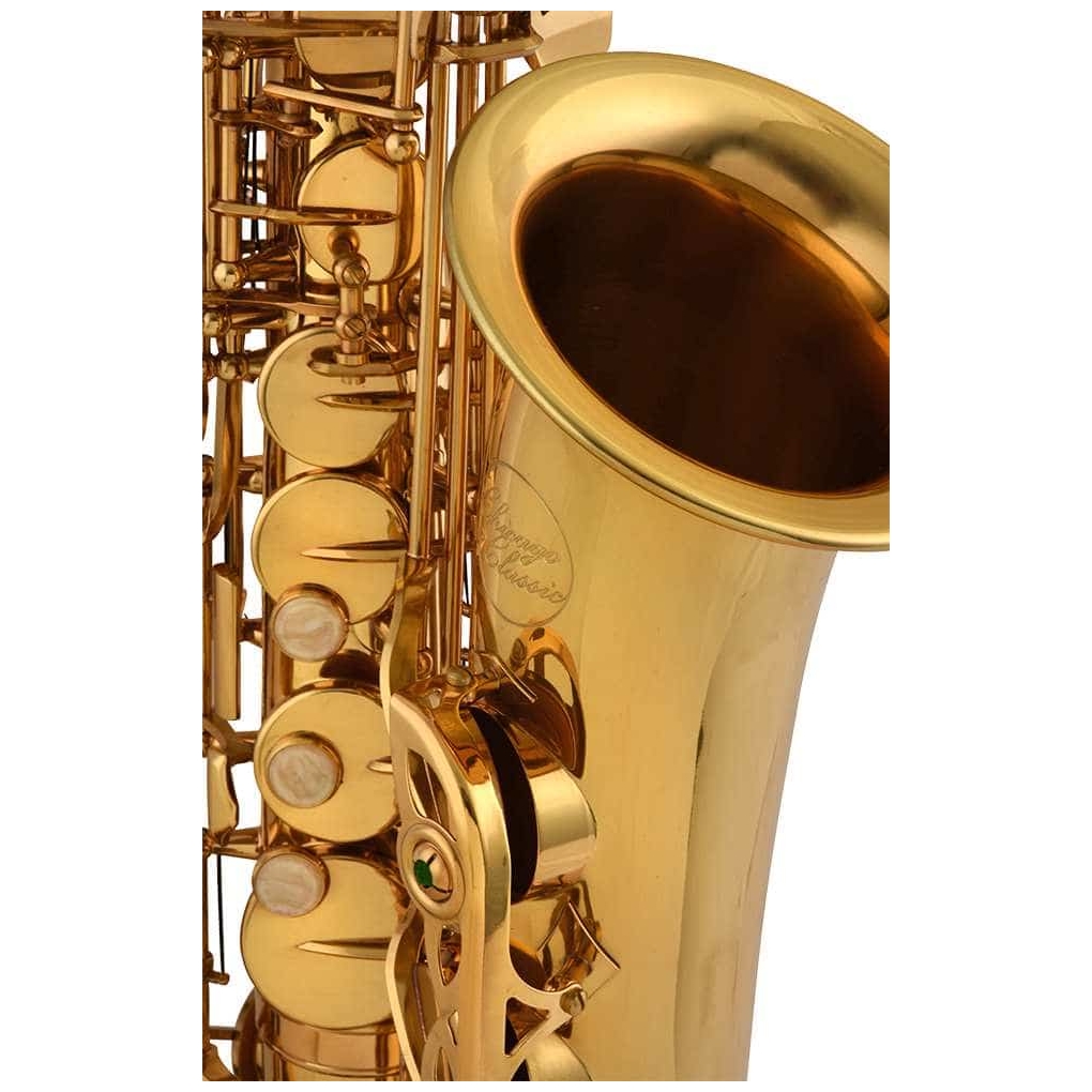 Chicago Winds - Chicago Winds CC-AS4100L Altsaxophon Goldlack - 5