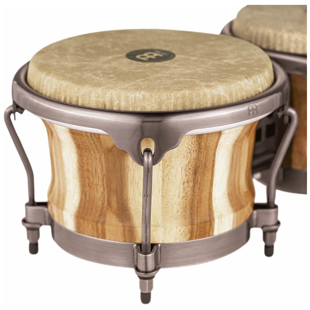 Meinl Percussion - Meinl Percussion DGR400CW - Artist Series Bongo Diego Galé, REMO F iberskyn - 1