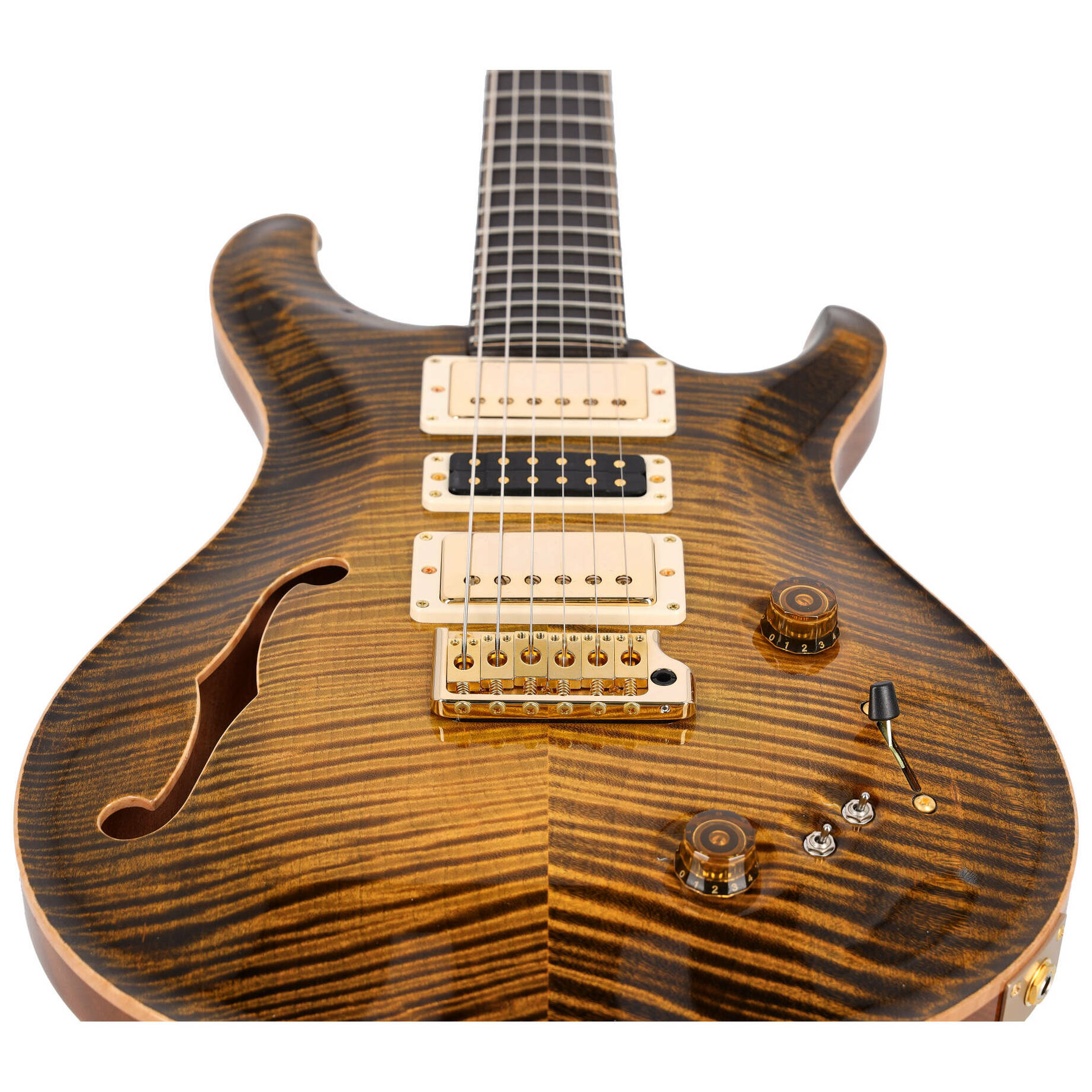 PRS Special 22 Semi Hollow Birds of a Feather Tiger Eye Glow Private Stock 5