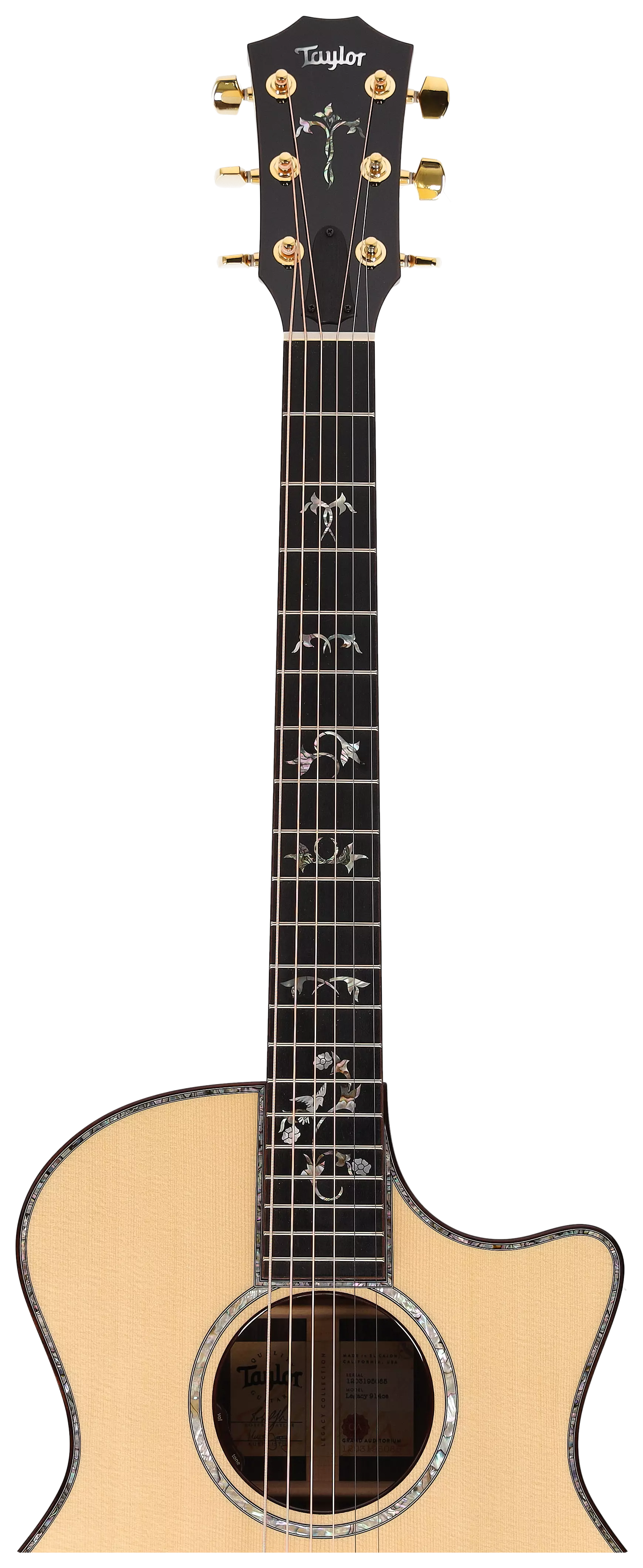 Taylor Legacy 914ce #1 9