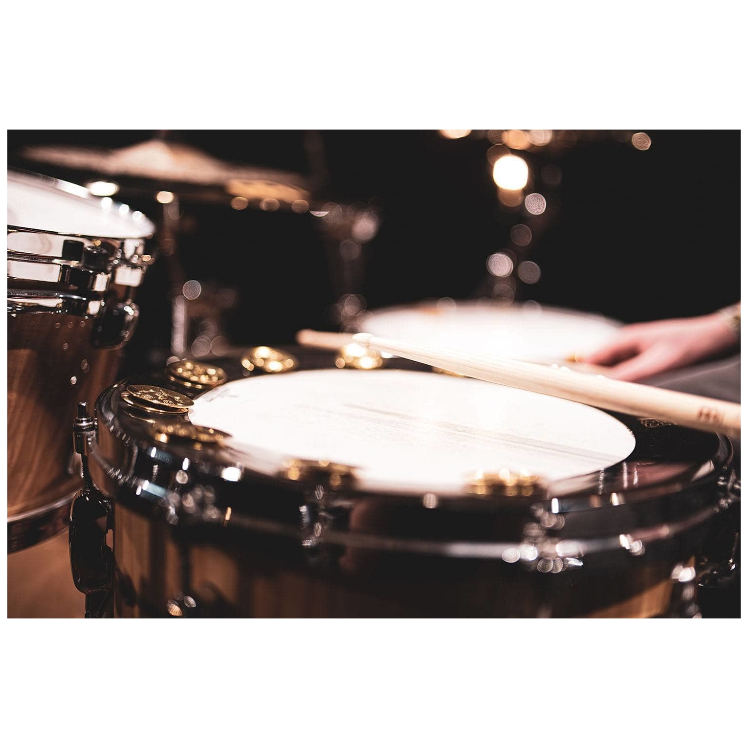 Meinl Cymbals - Meinl Cymbals BBP14 - 14 Backbeat Pro Tambourine - 2