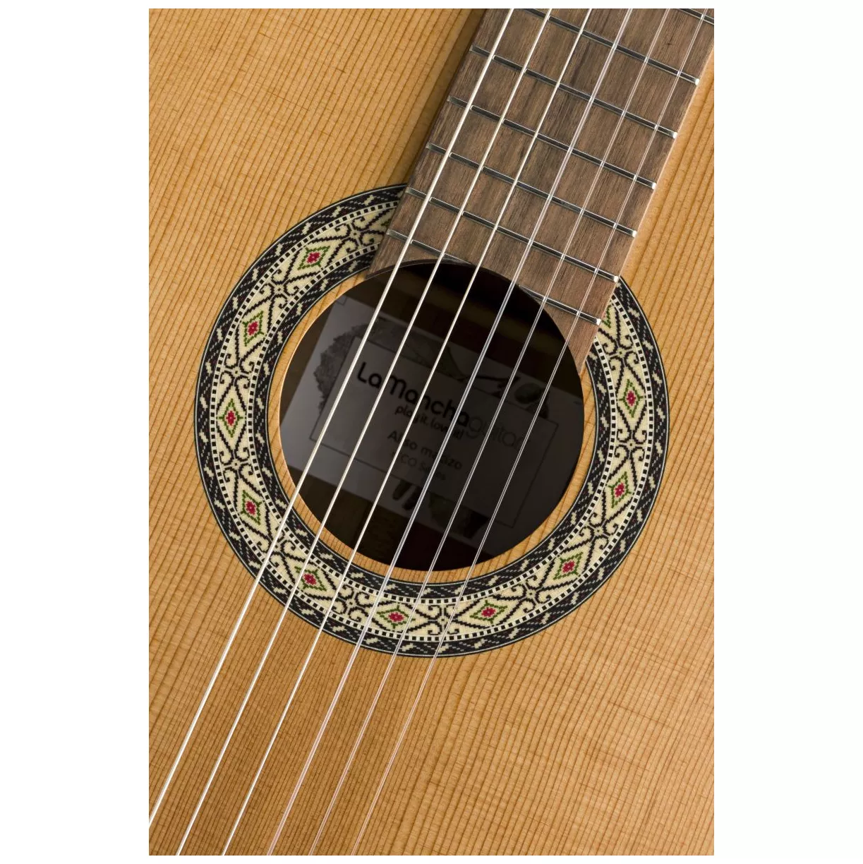 La Mancha Aliso macizo 5