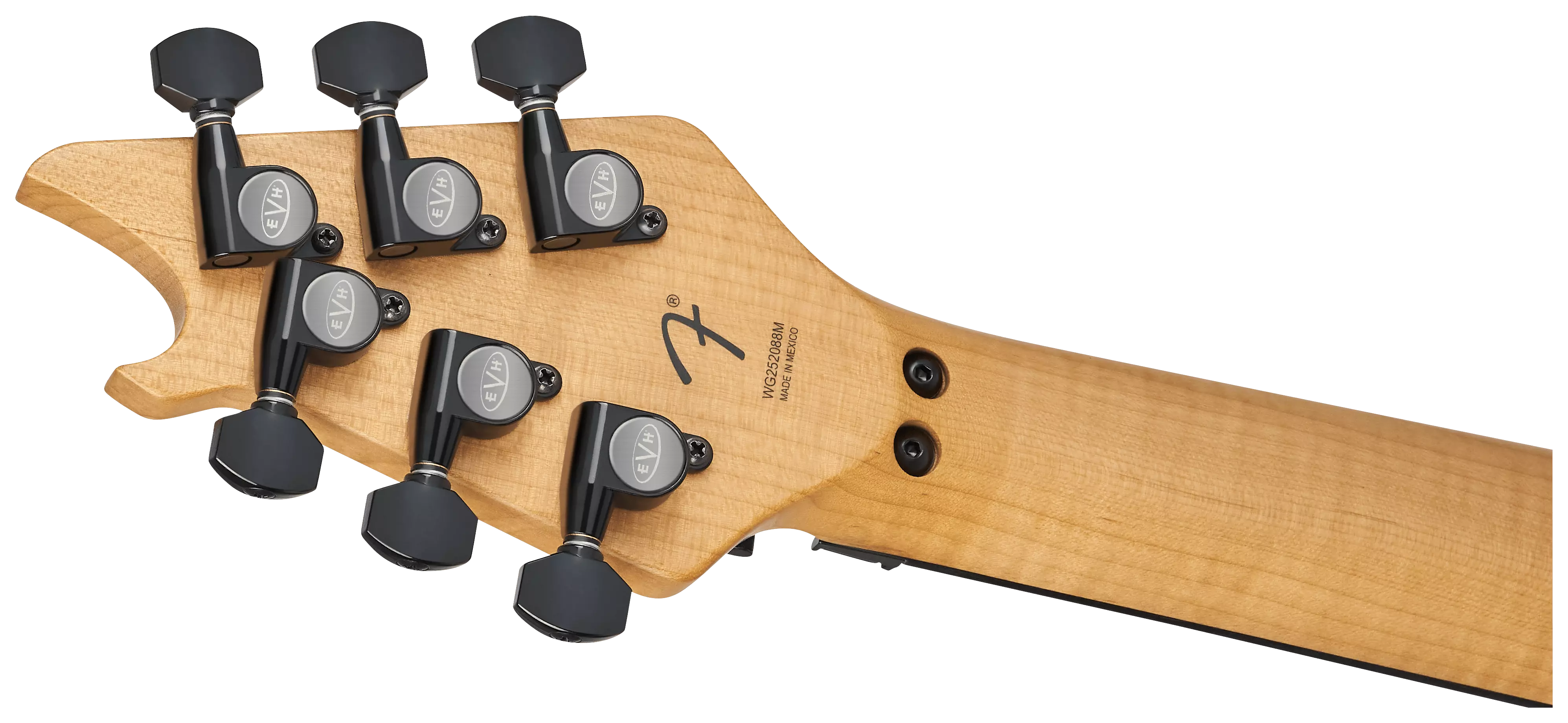 EVH Wolfgang Special Baked Maple EB Stealth Black 6