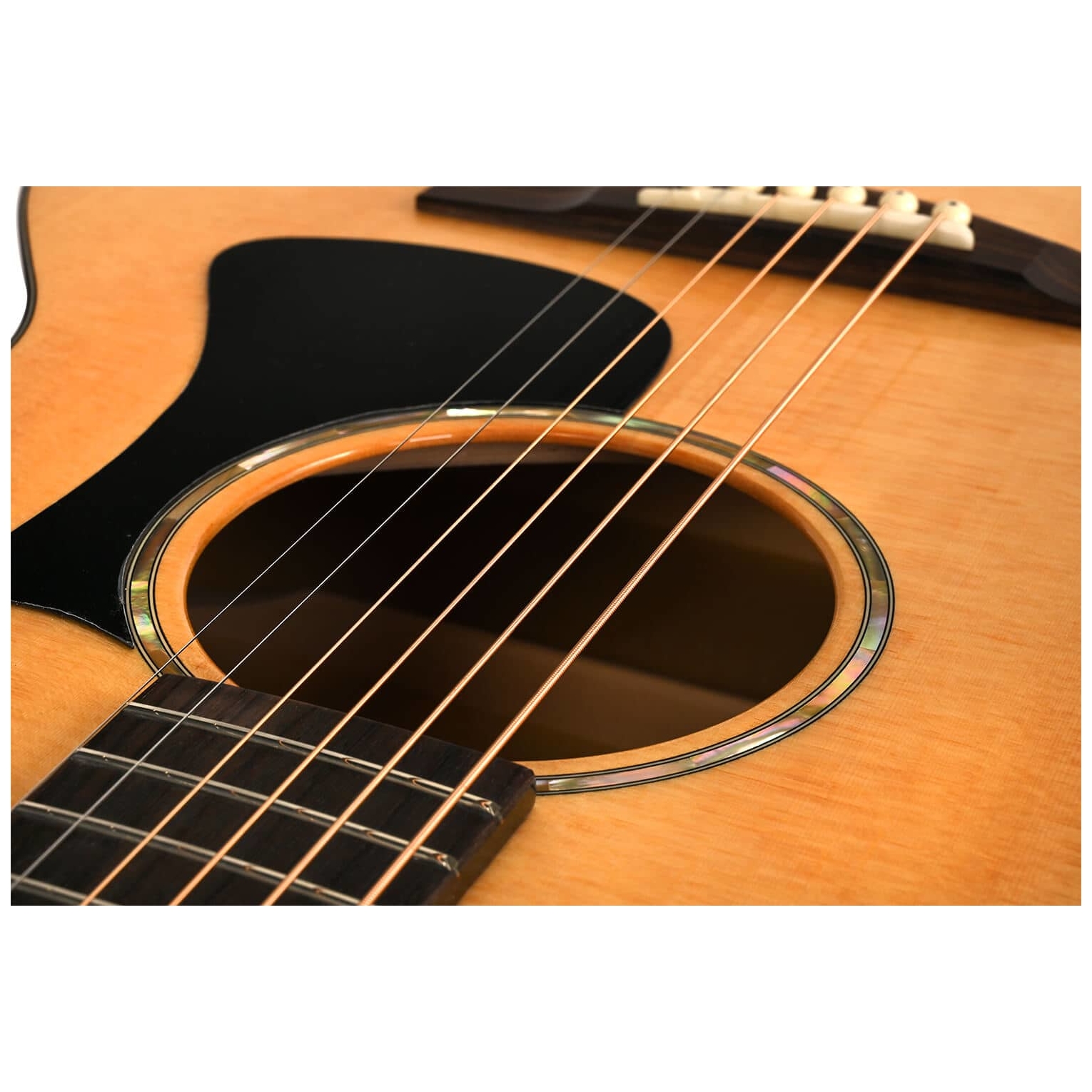 Eastman - Eastman PCH3-GAce-CLA - 5