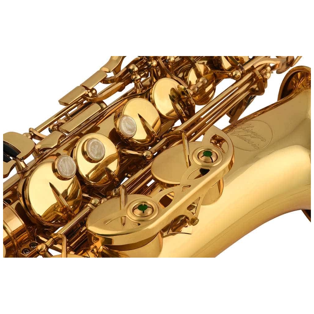 Chicago Winds - Chicago Winds CC-AS4100L Altsaxophon Goldlack - 4