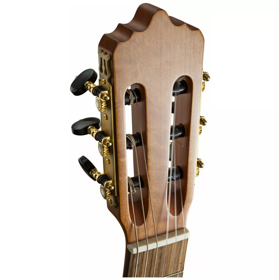 La Mancha Aliso macizo 3