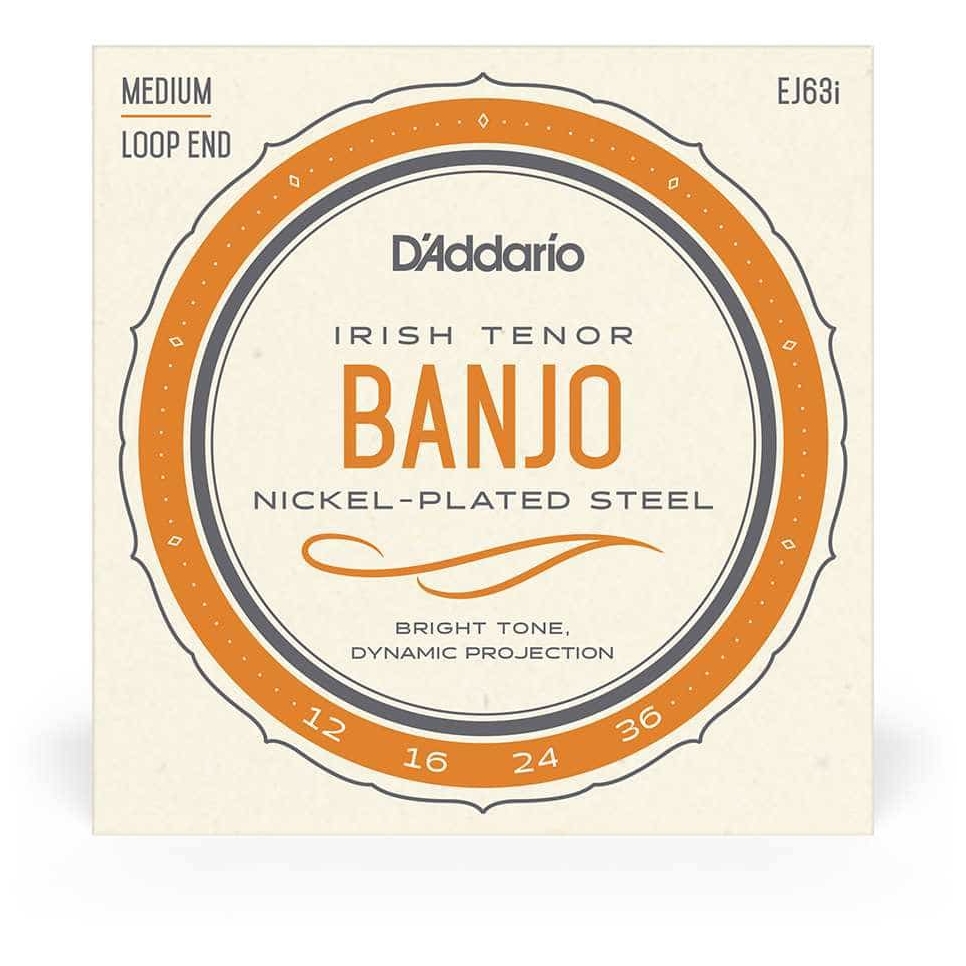 D’Addario EJ63i - Irish Tenor Banjo Nickel Plated Steel | 009-030