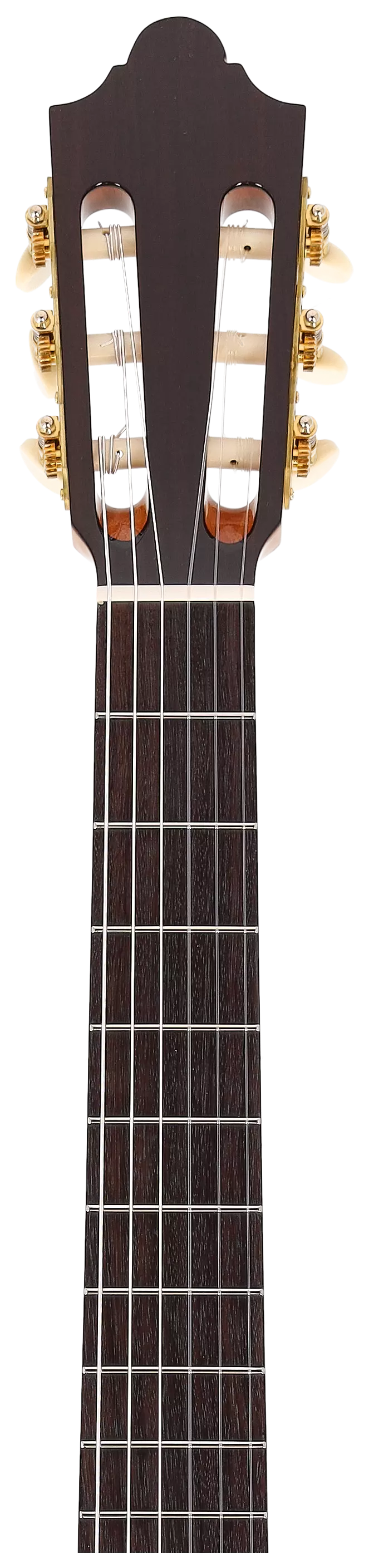 Duke Guitars Student F 63/48 Cut Trio VT 11