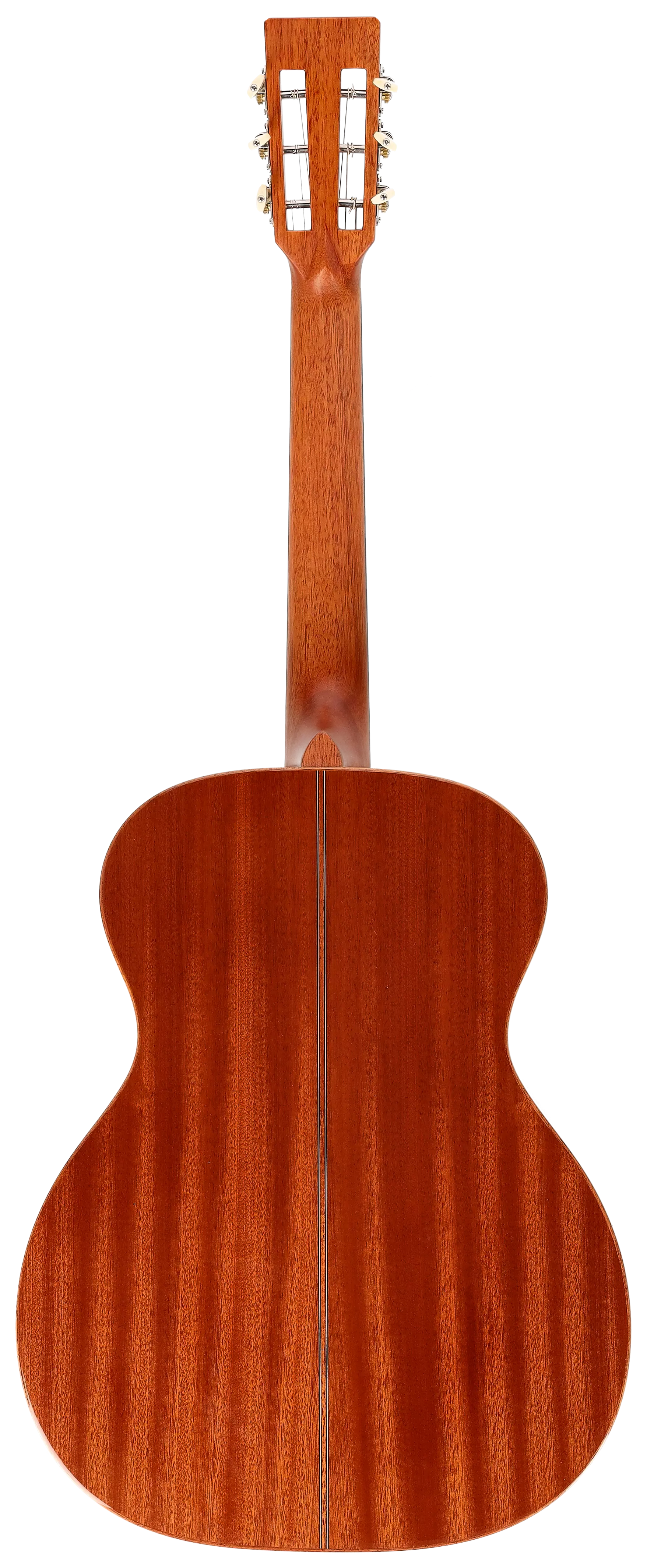 Duke Guitars A-MC 2