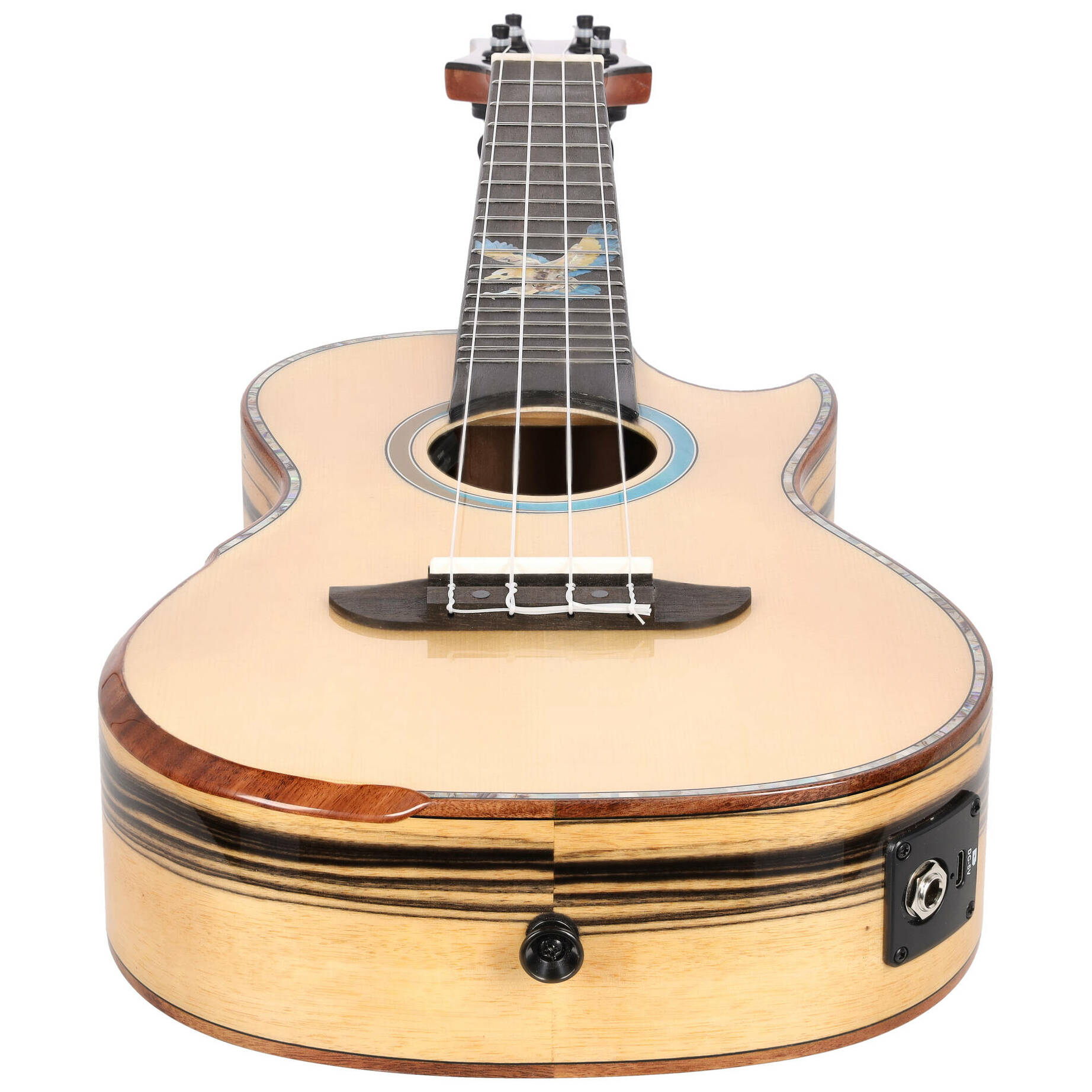 Ortega EAGLESUITE-U 1