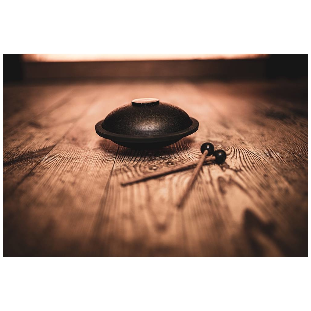 Meinl Sonic Energy - Meinl Sonic Energy MSTD1BK - Mini Steel Tongue Drum, Black, C Major - 4