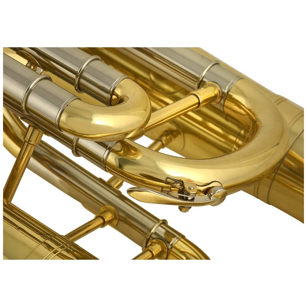 Chicago Winds - Chicago Winds CC-EP6100L Euphonium - 6
