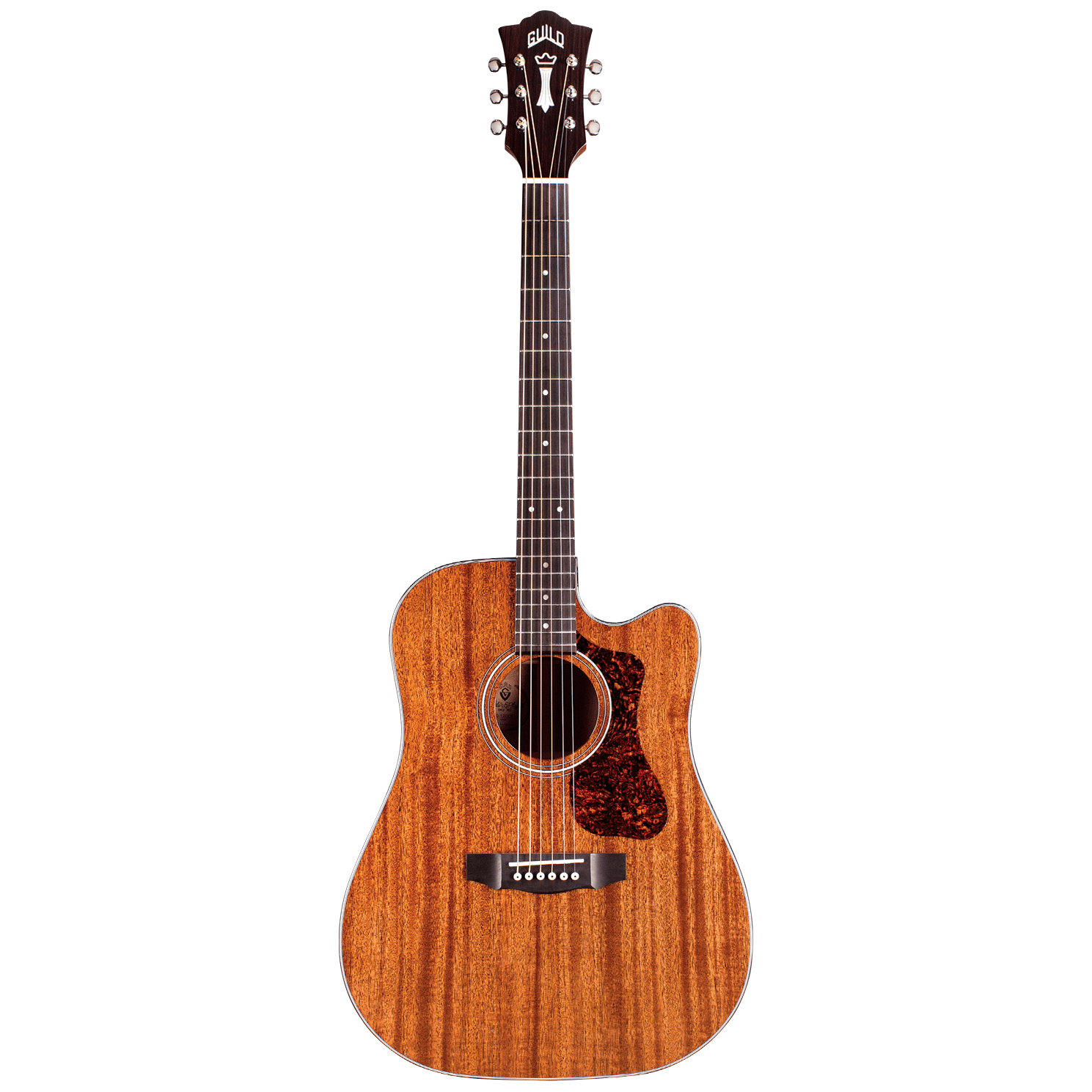 Guild D-120CE NT Westerly 1
