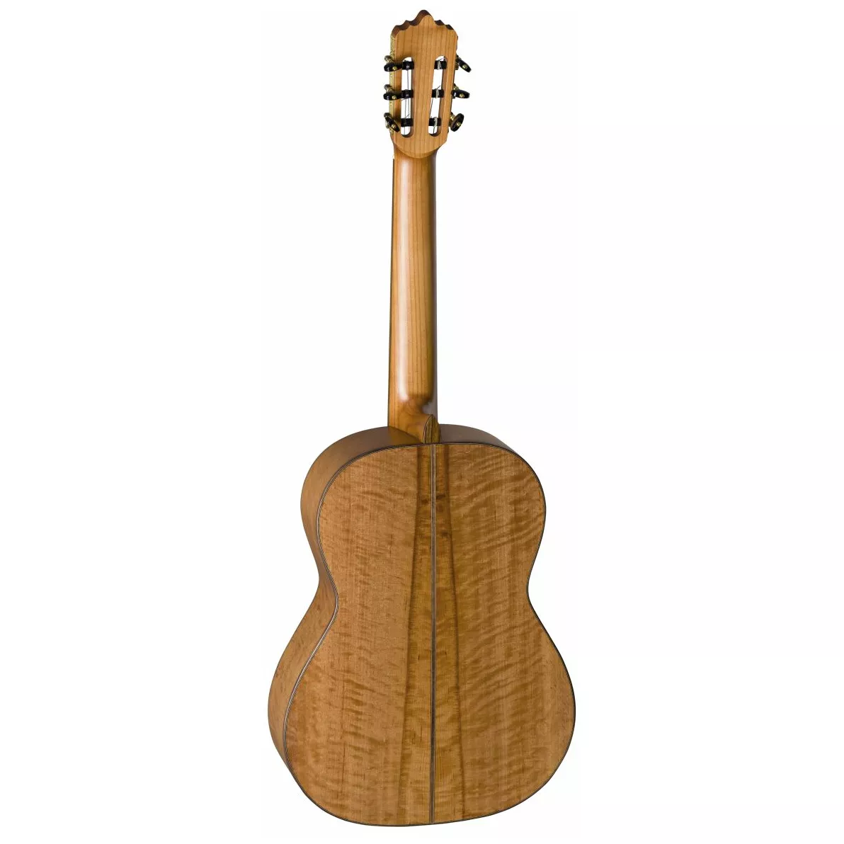 La Mancha Aliso macizo 1