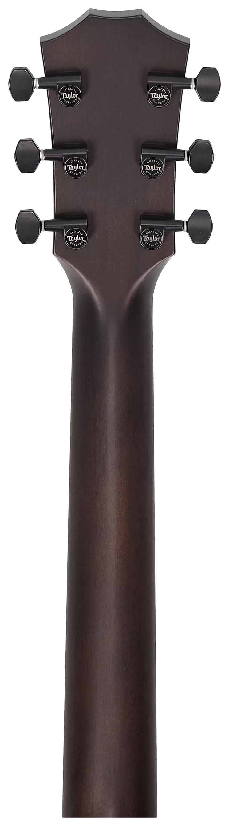 Taylor Custom GT C21e Blackwood/Blackwood #44 6