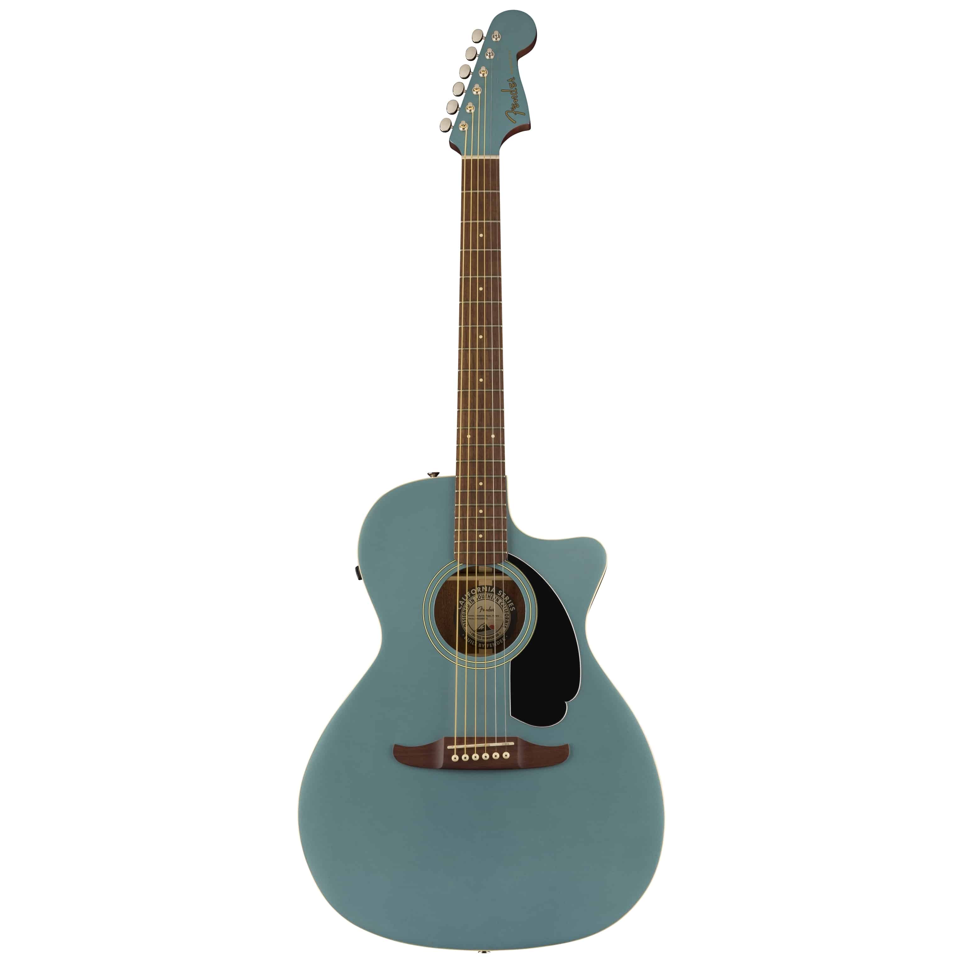 Fender Newporter Player TPL