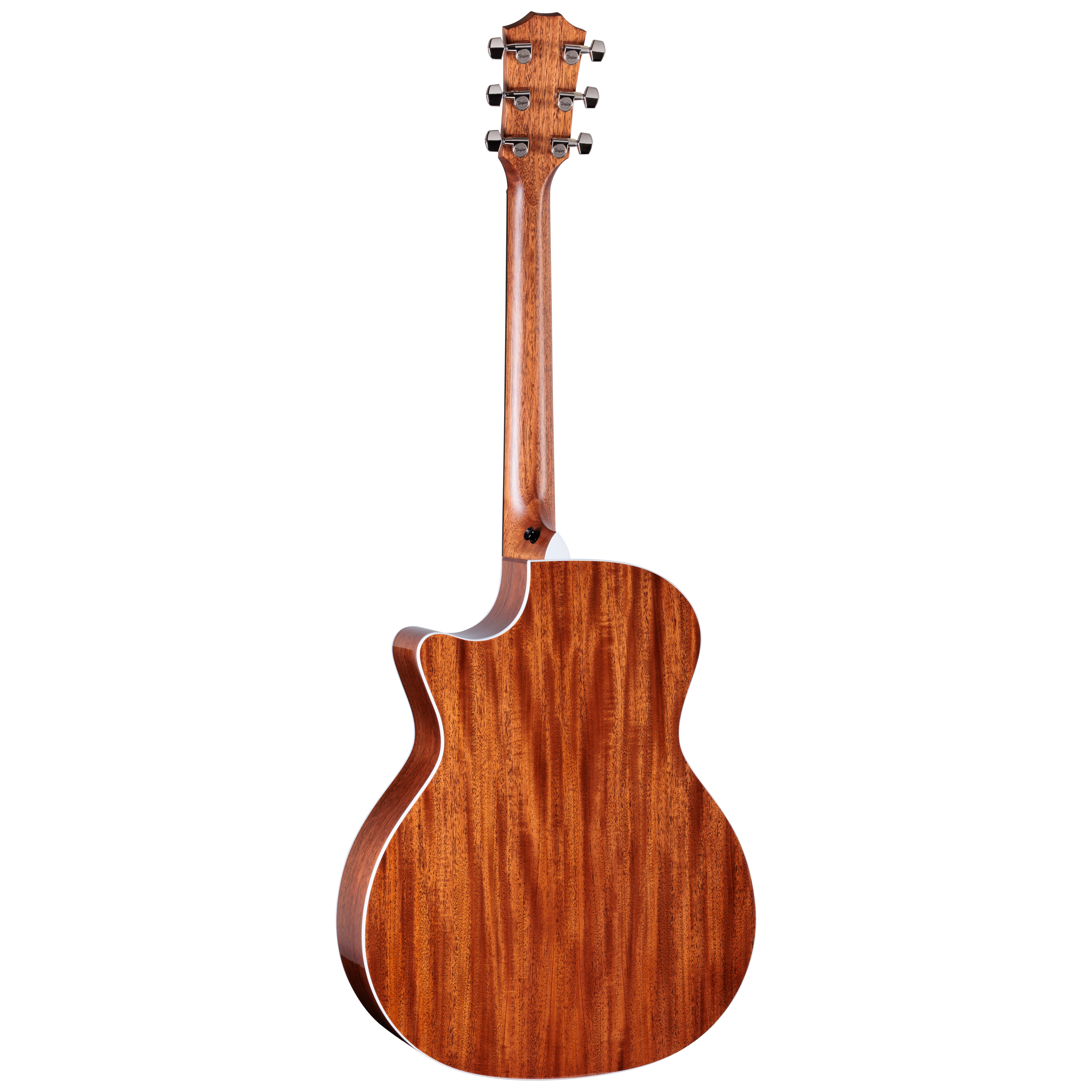 Taylor 514ce Next Generation 1