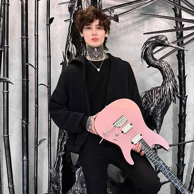 Image of Ibanez tim henson