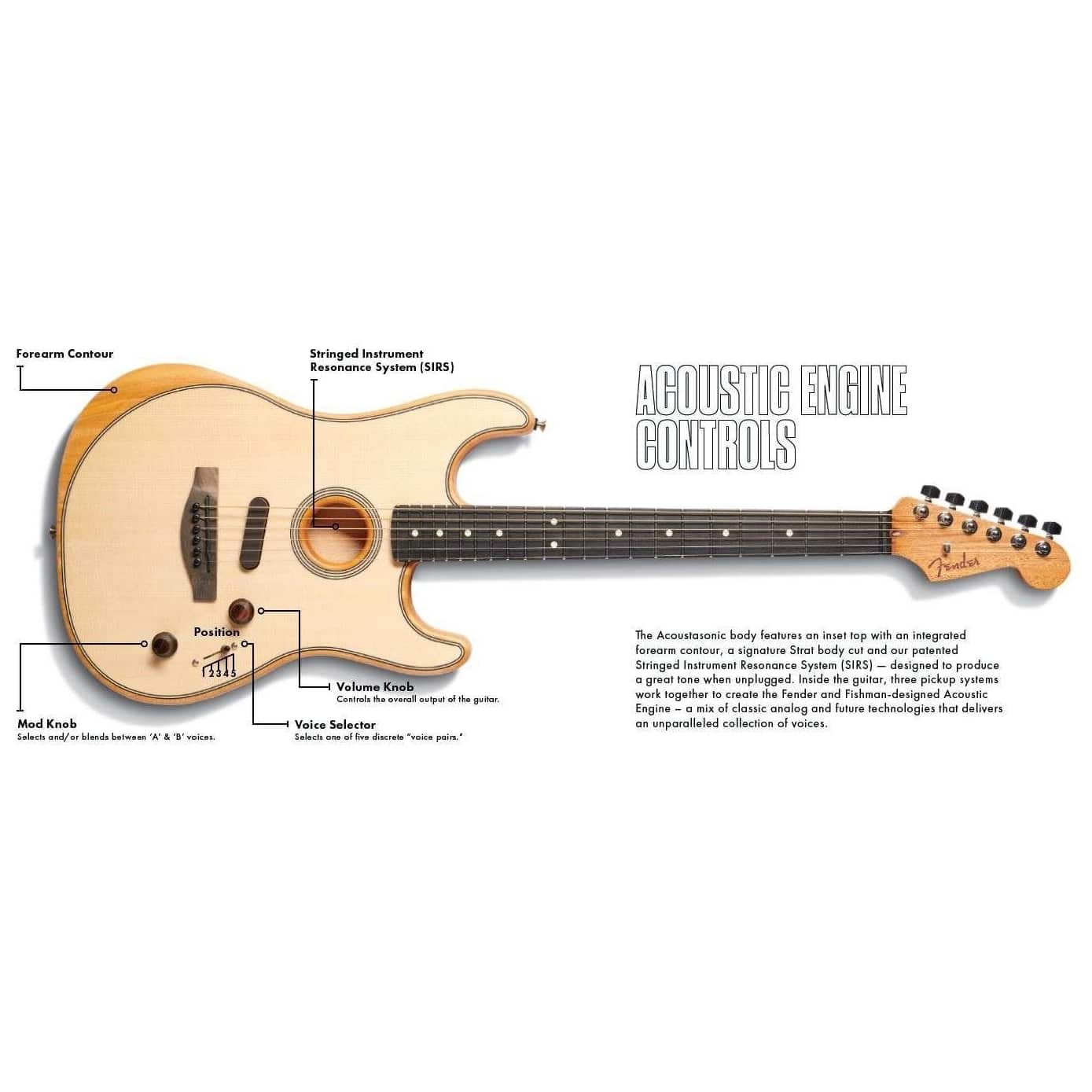 Fender Acoustasonic Stratocaster Dakota Red 8
