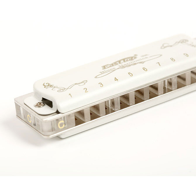 Blues Harp T008L in Db 2