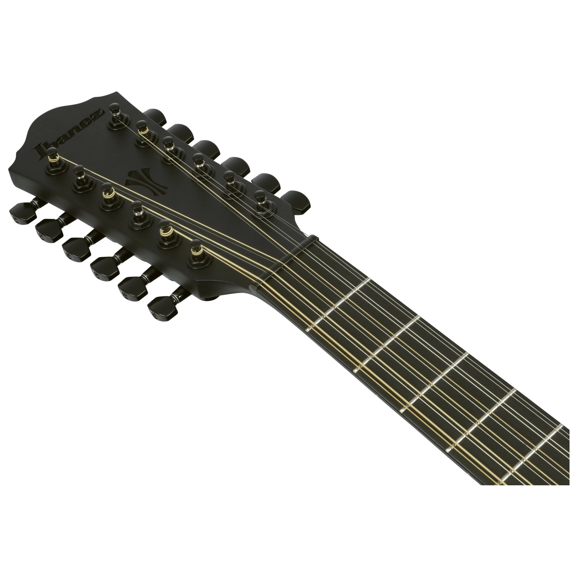 Ibanez AEG1221-BOT