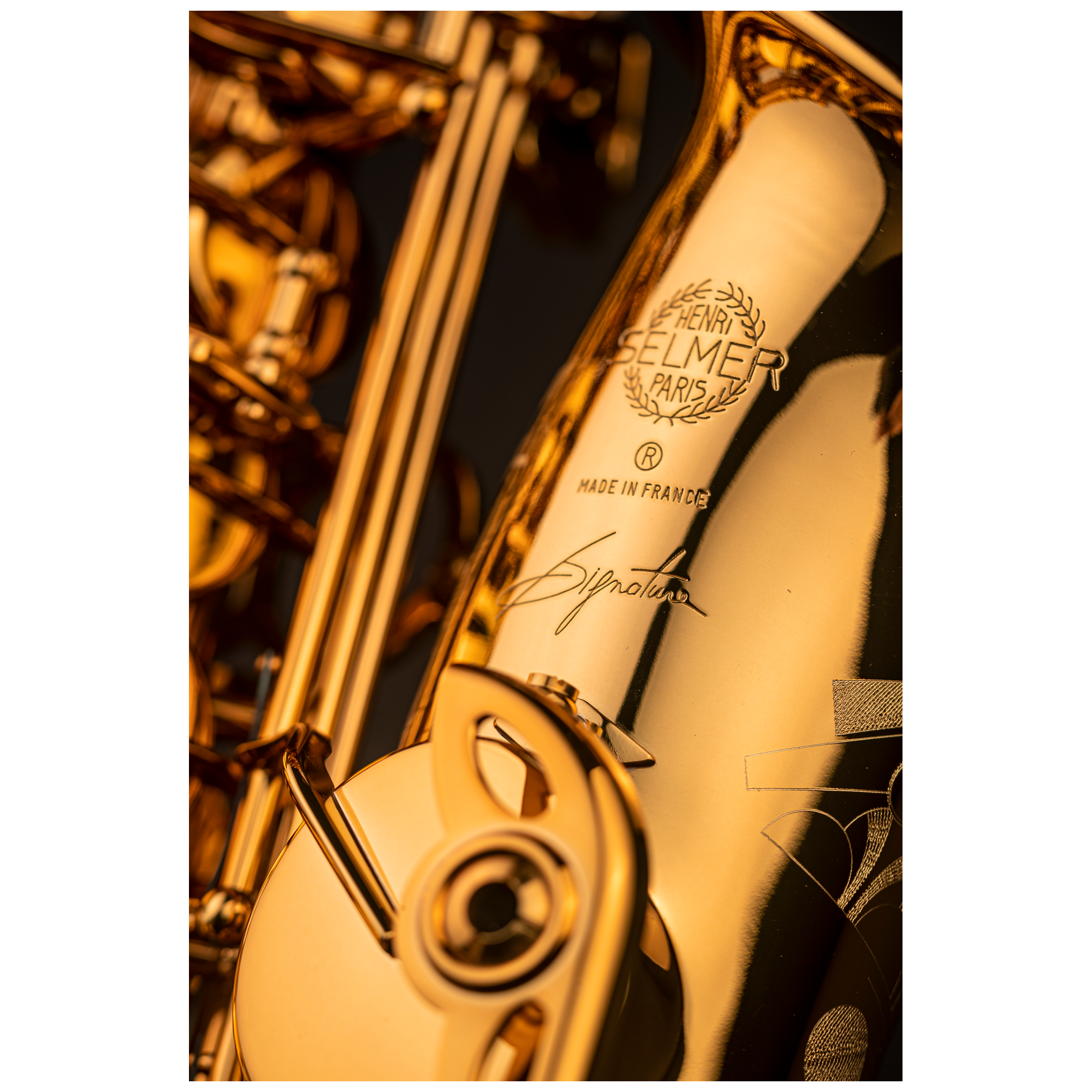 Selmer Signature Altsaxophon Goldlack 1