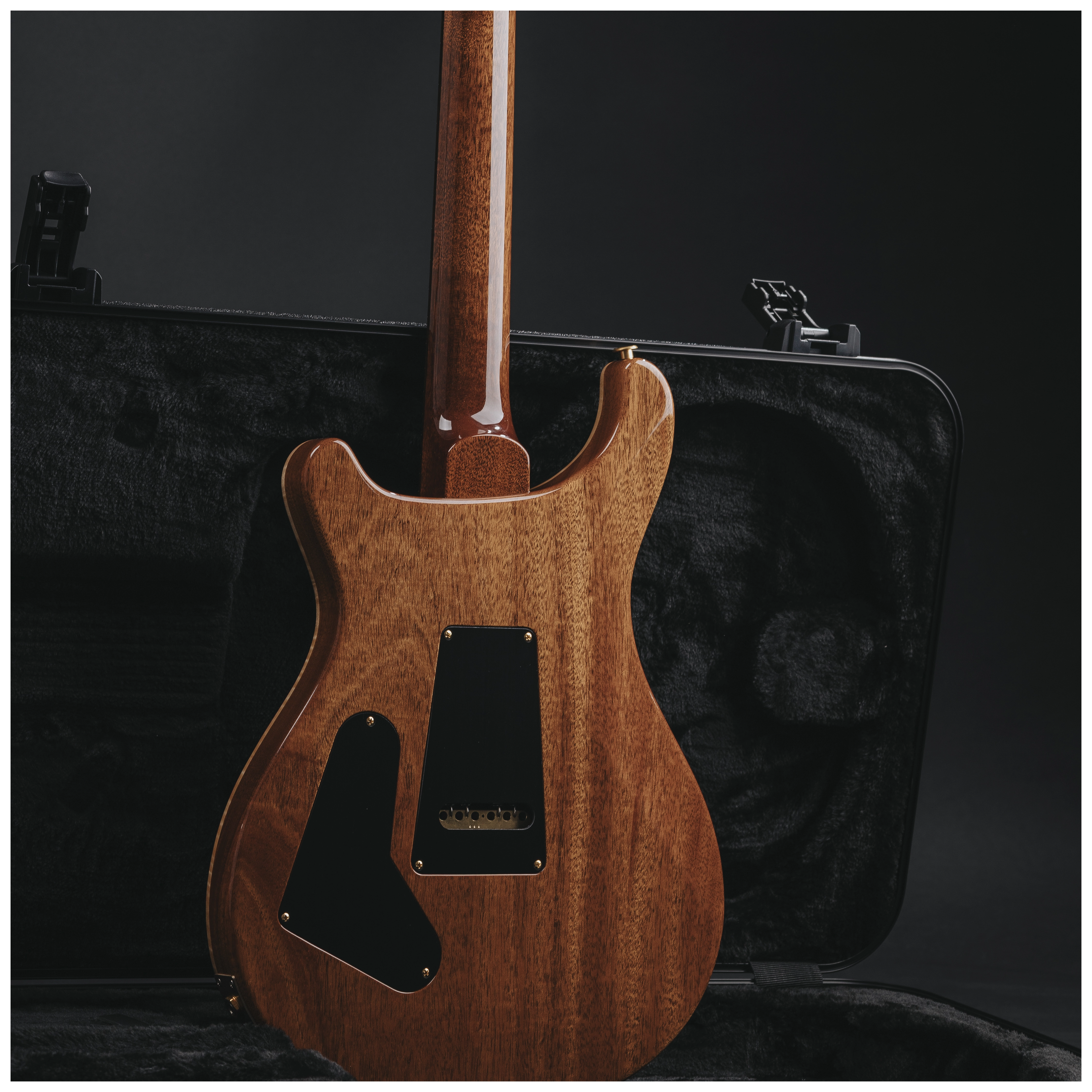 PRS Custom 24 Tiger Eye 10 Top #1 30
