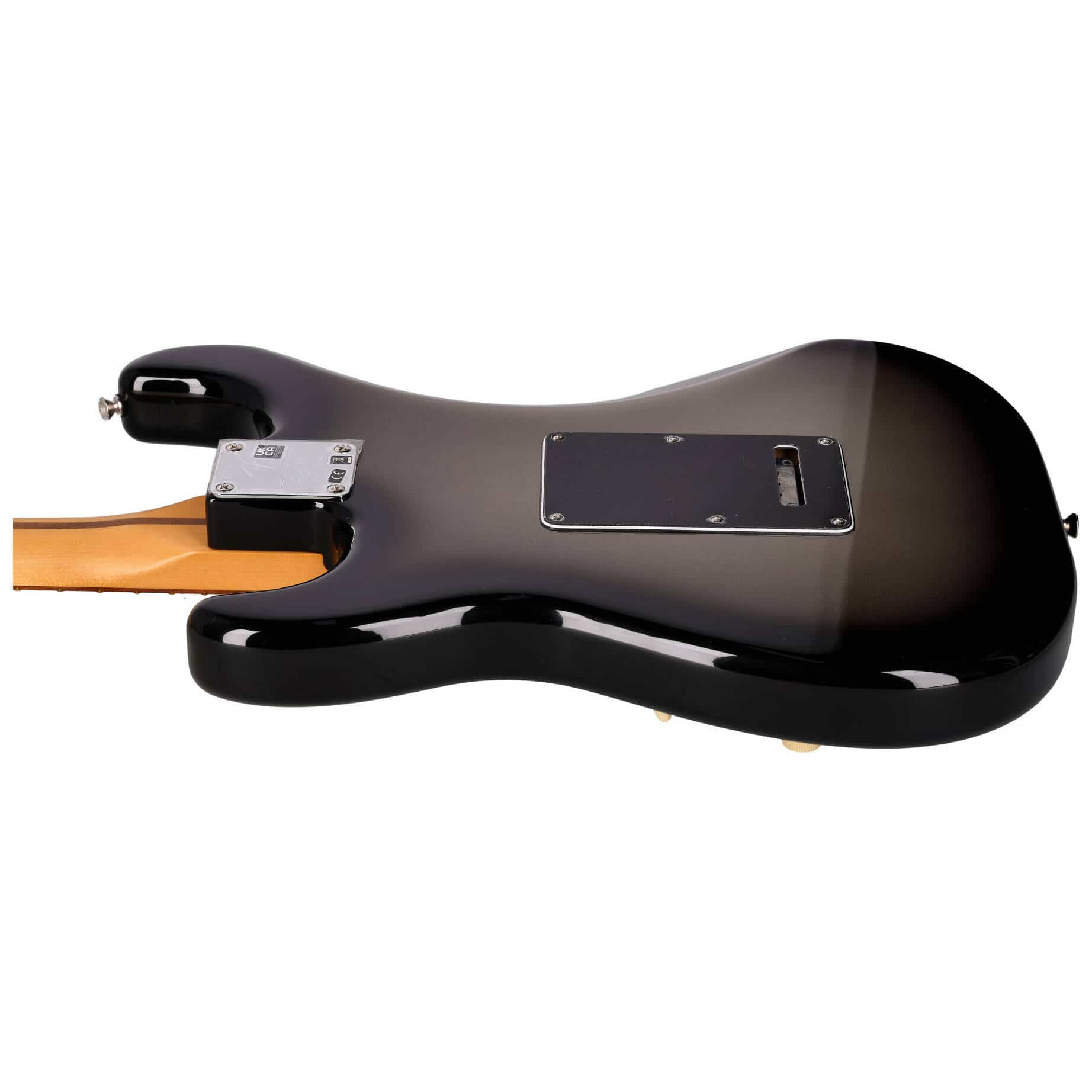 Fender Player Plus Stratocaster HSS PF SVB 12
