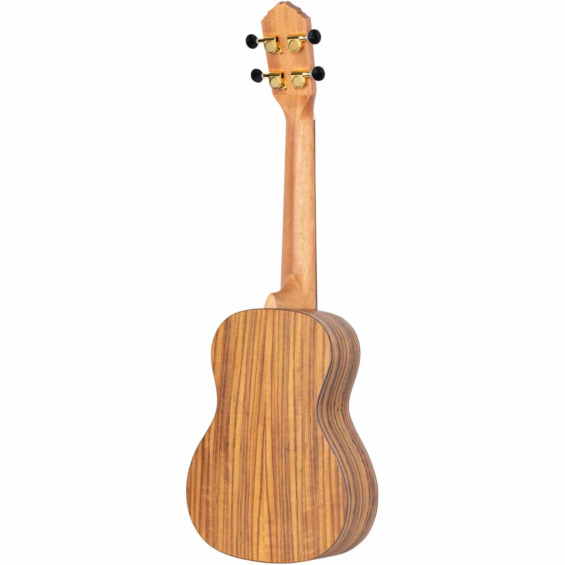 Ortega RUTI-CC-L 1