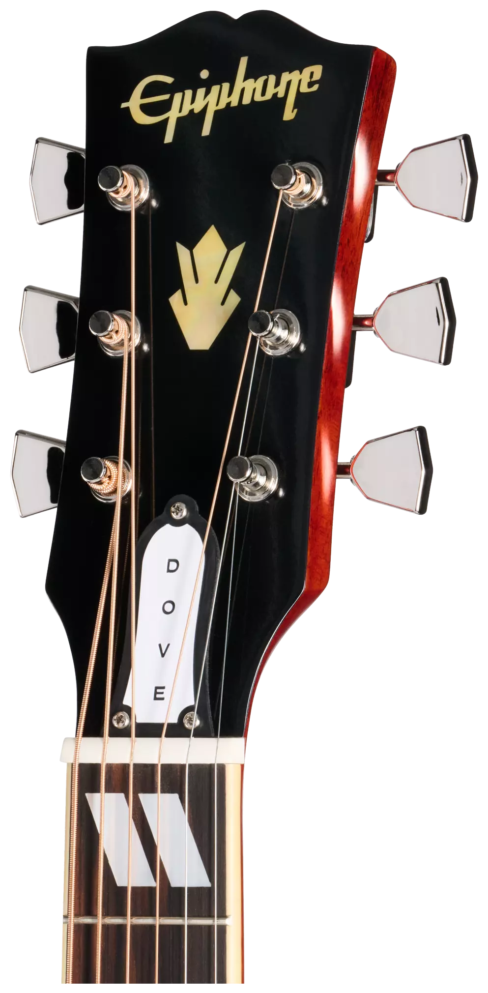 Epiphone 1963 Dove Reissue Natural 2