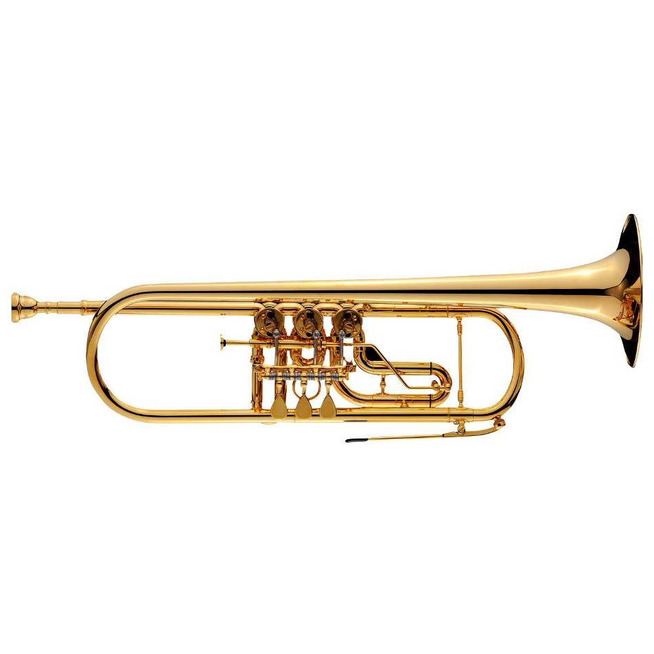 Schagerl Hans Gansch L 137 Bb-Trompete vergoldet