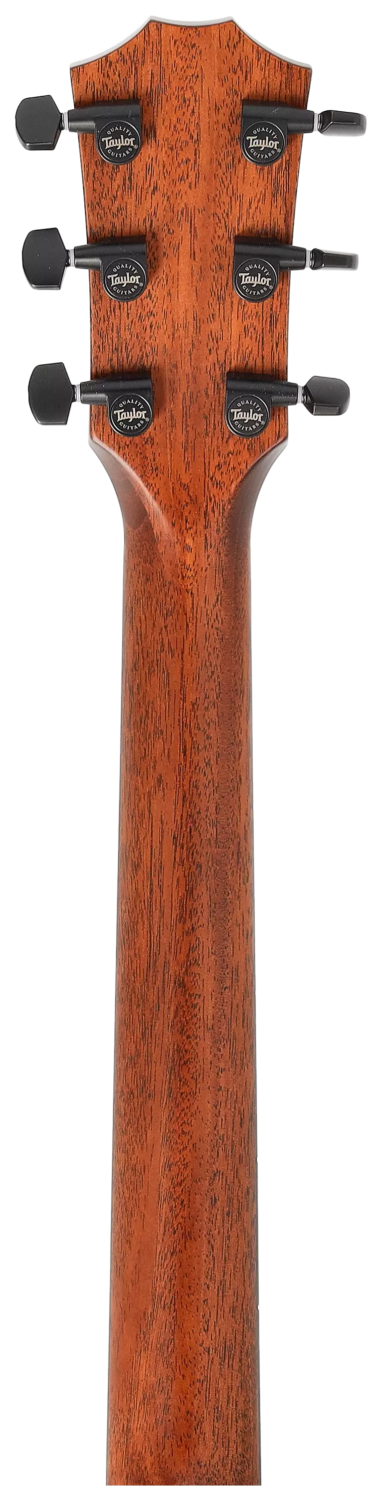 Taylor 324ce Baritone-6 LTD 12