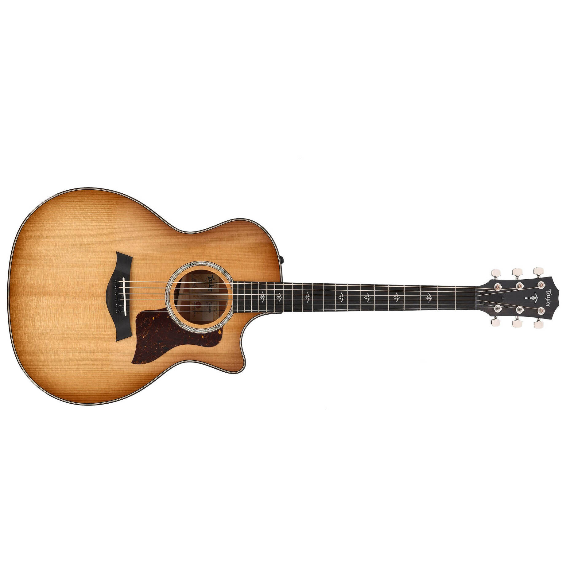 Taylor 514ce Urban Ironbark 1