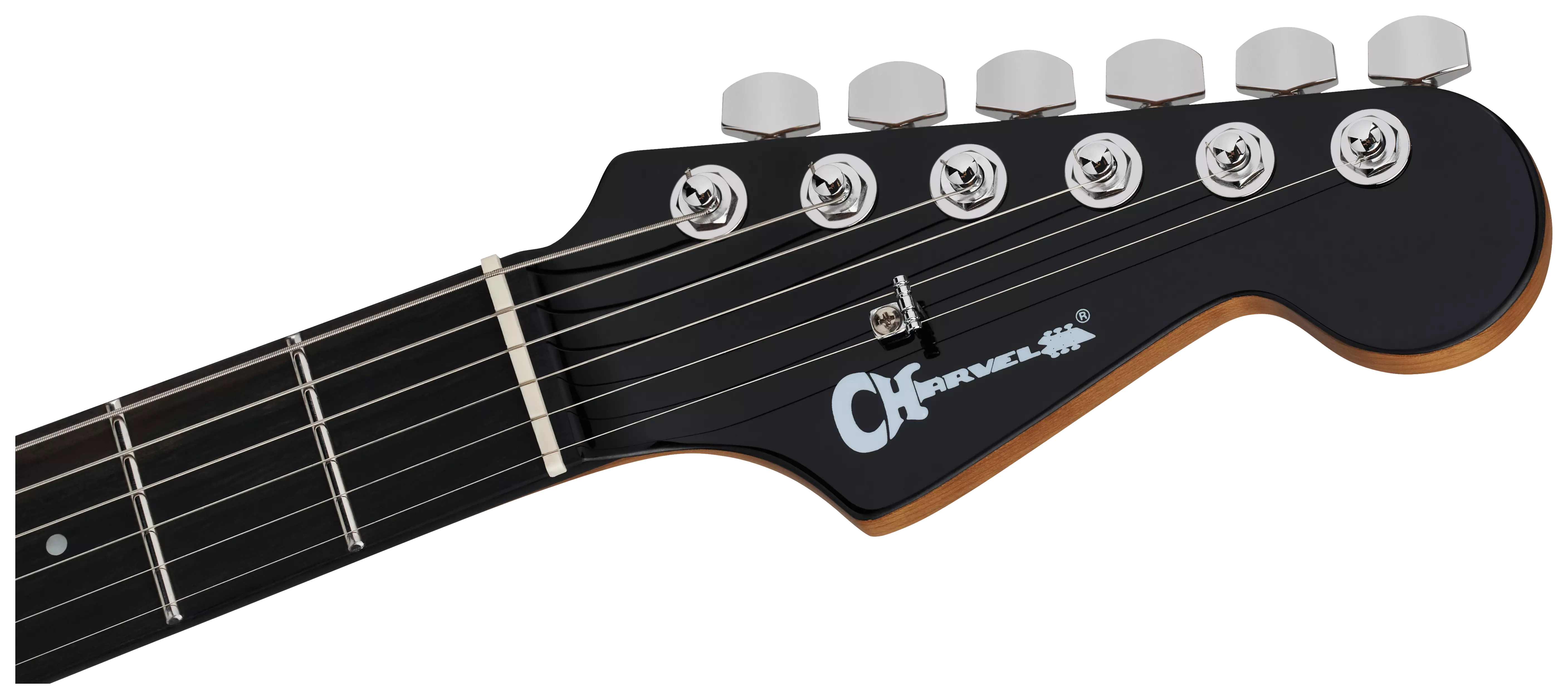 Charvel Pro Mod Plus DK24 HH 2PT EB EB Raven Black 5