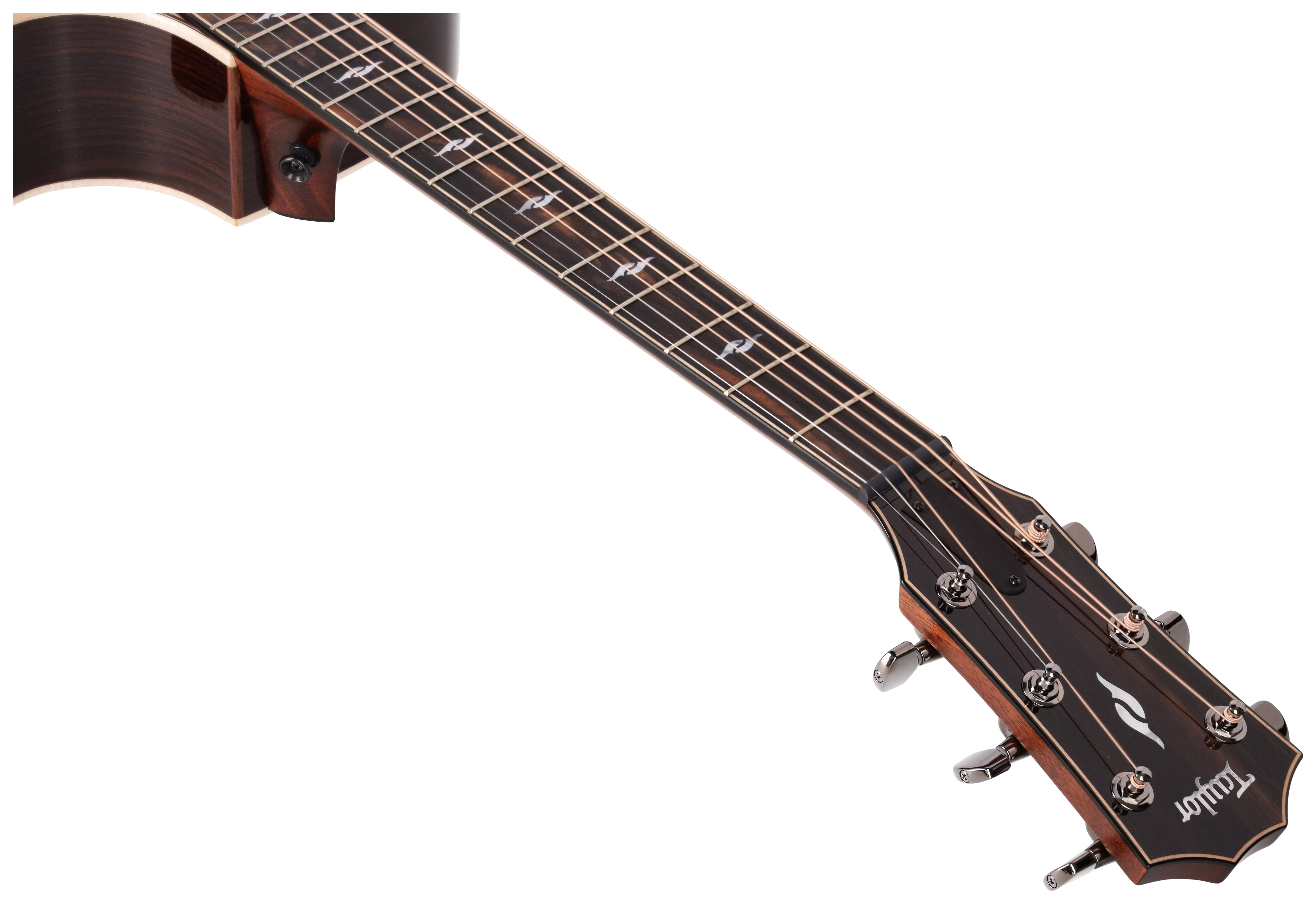 Taylor 812ce Next Generation 13