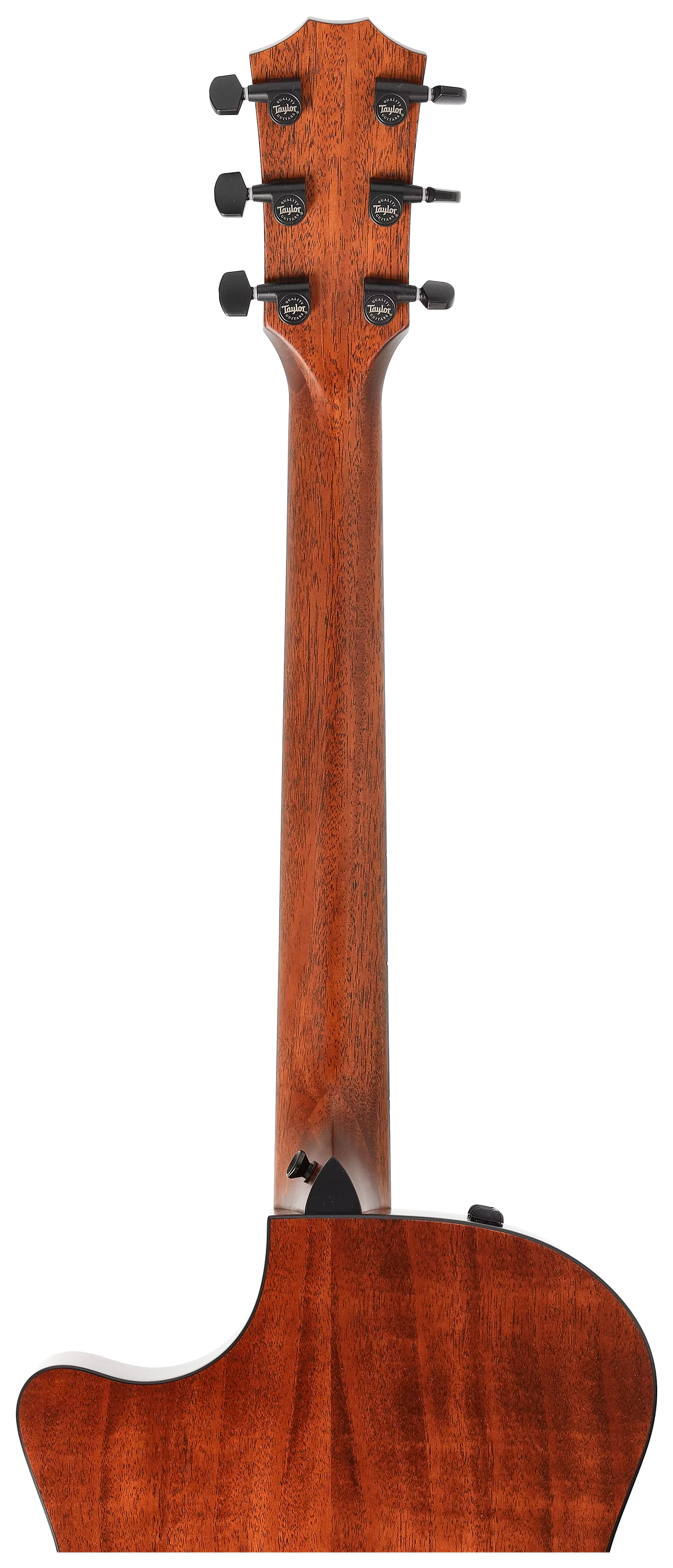 Taylor 324ce Baritone-6 LTD 10