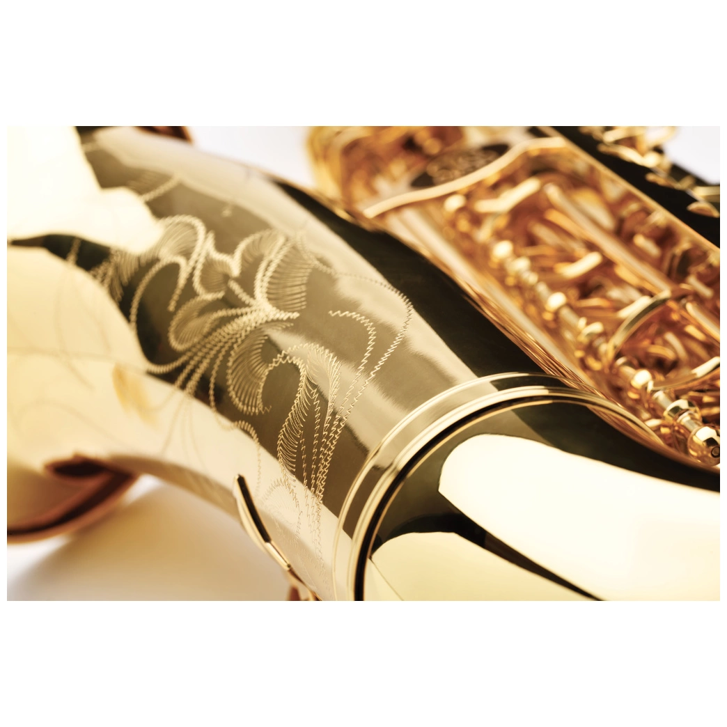 Buffet Crampon BC8301-1-0GB Prodige Alto Sax 4
