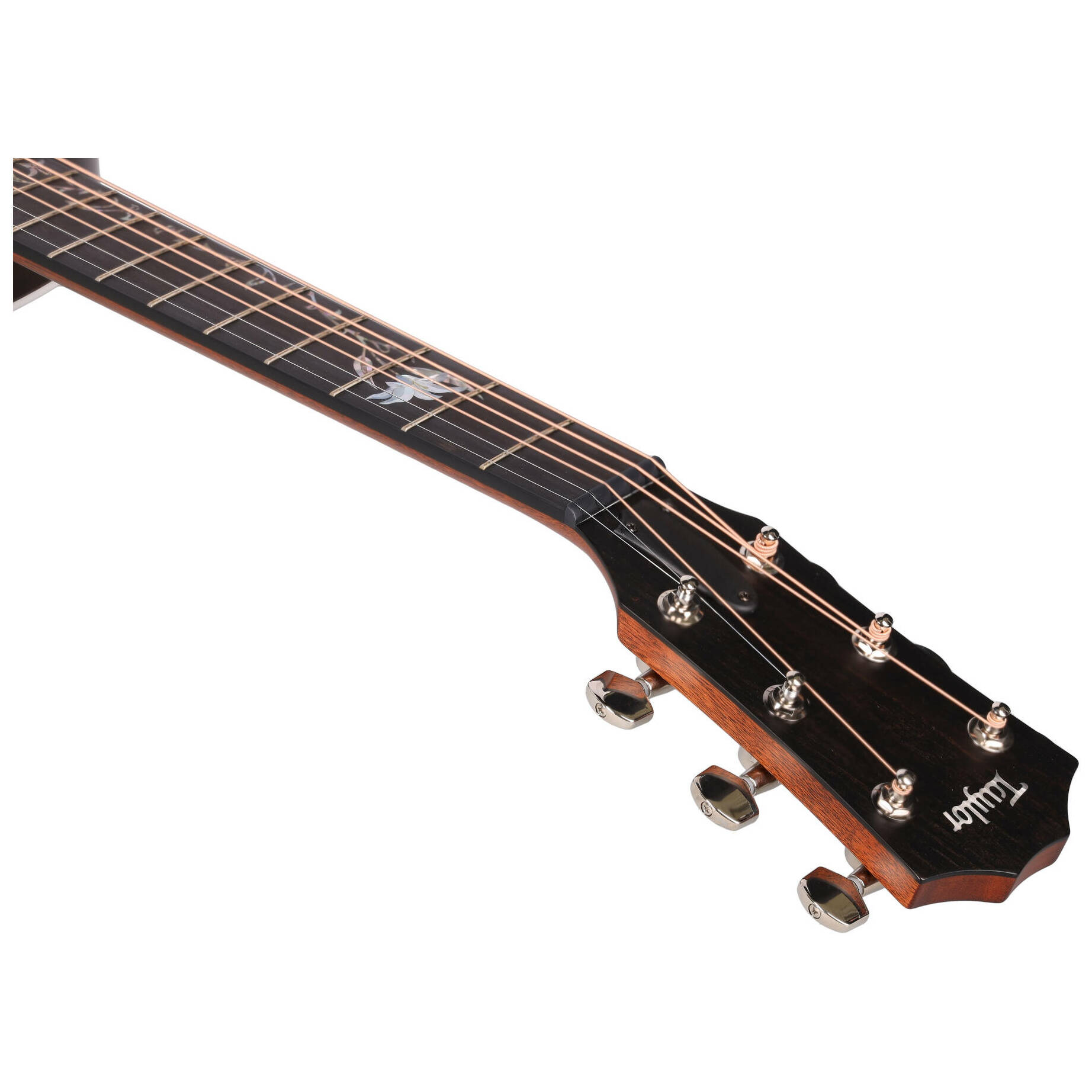 Taylor 414ce-R LTD - Lily Vine Inlay SEB 14